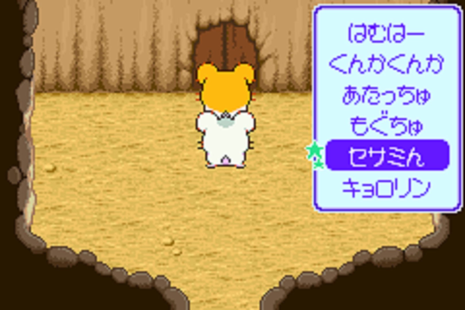 GBA とっとこハム太郎3ラブラブ大冒険でちゅ 攻略（画像あり）｜タカ