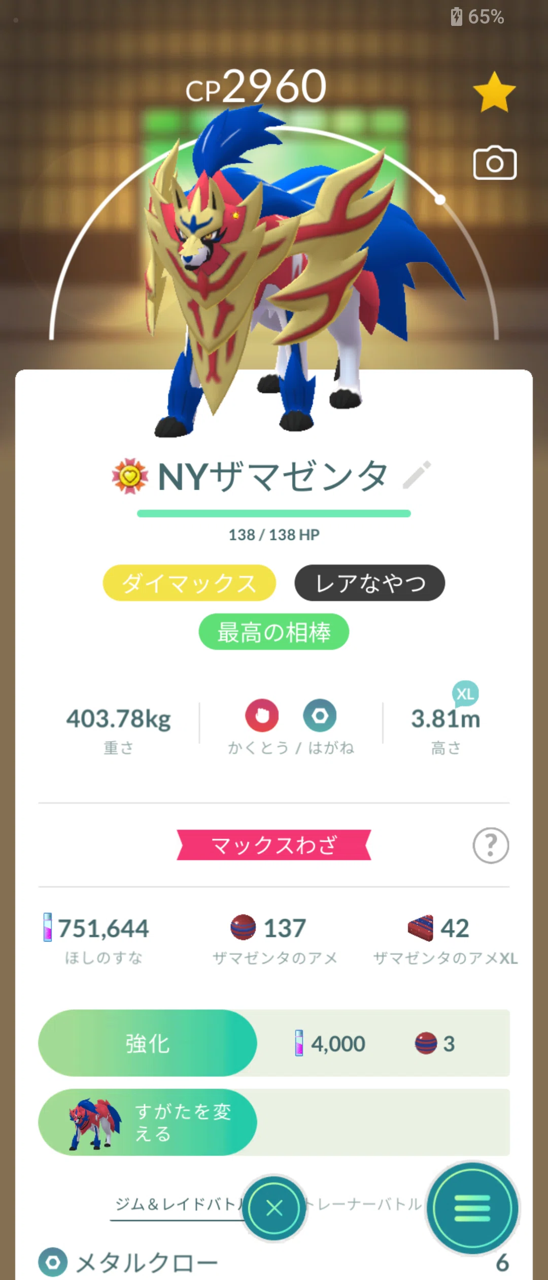 最高の相棒が10匹になったから紹介する｜ココマイ
