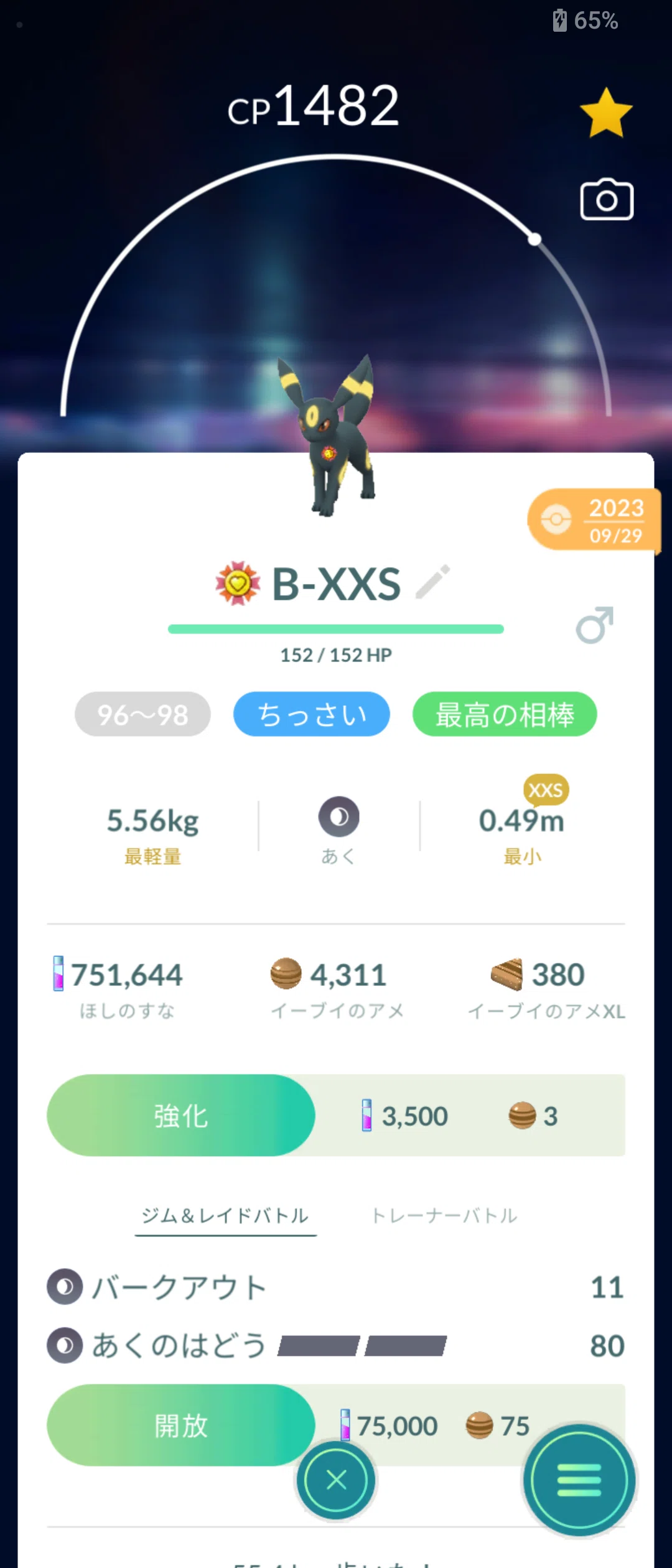 最高の相棒が10匹になったから紹介する｜ココマイ