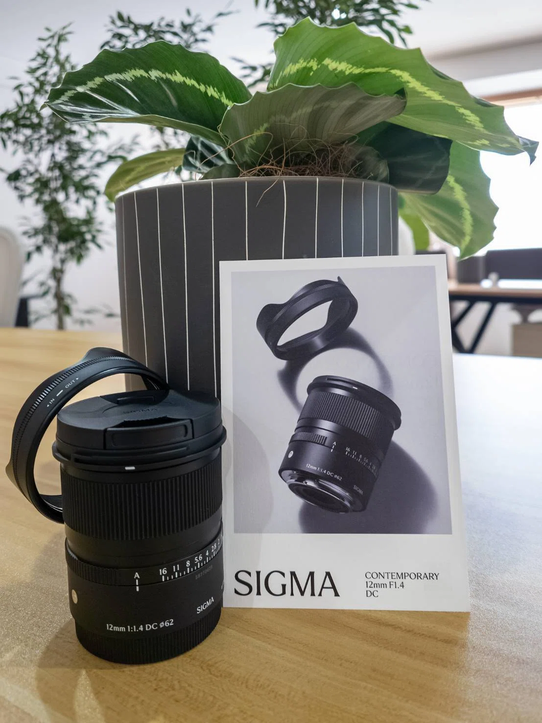 Sigma 12mm F1.4 DC | Contemporaryが想像以上の写りをする名レンズだ