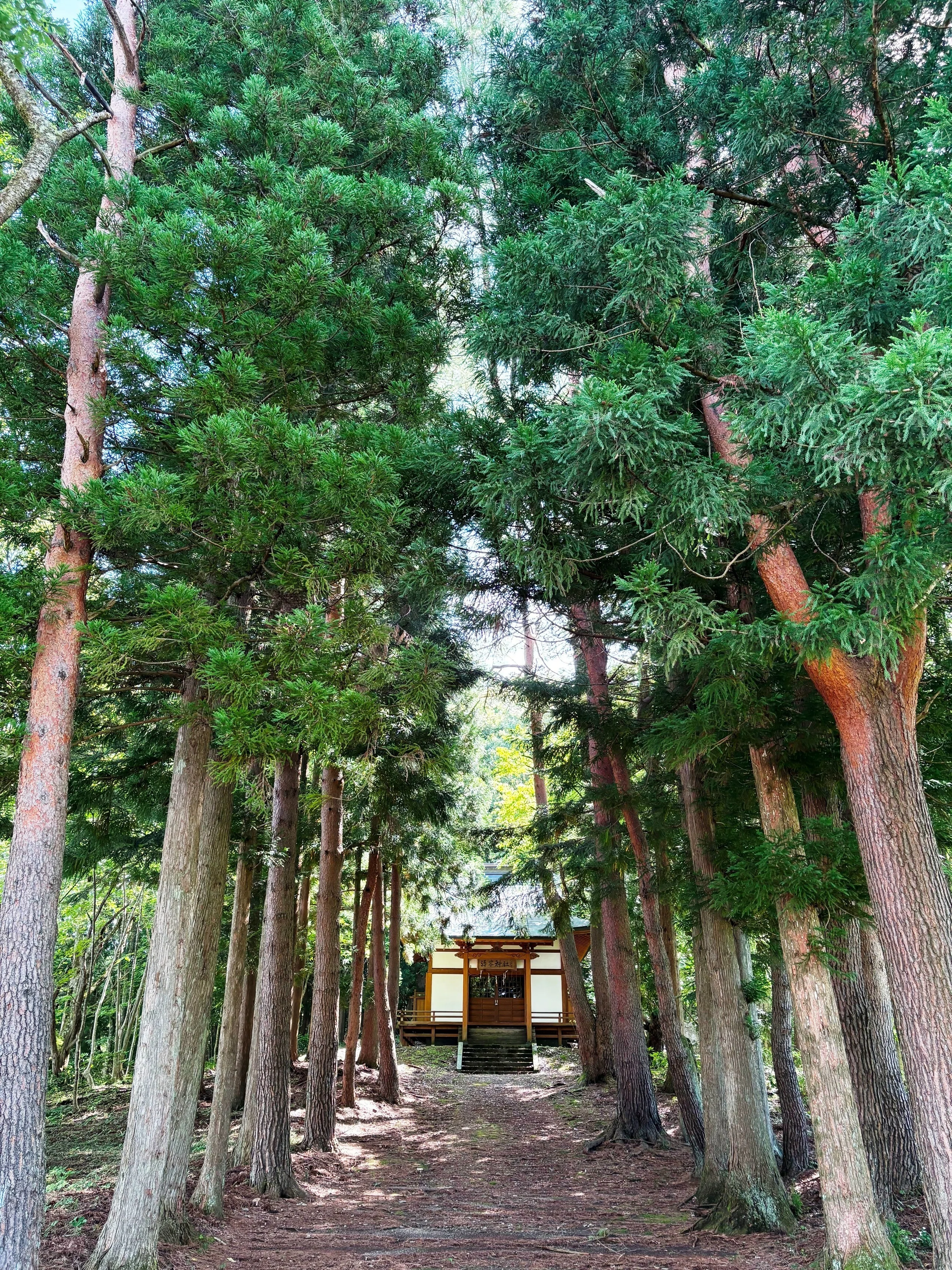 たのしいぞ郷土資料館（番外編）田沢湖②「田沢湖クニマス未来館
