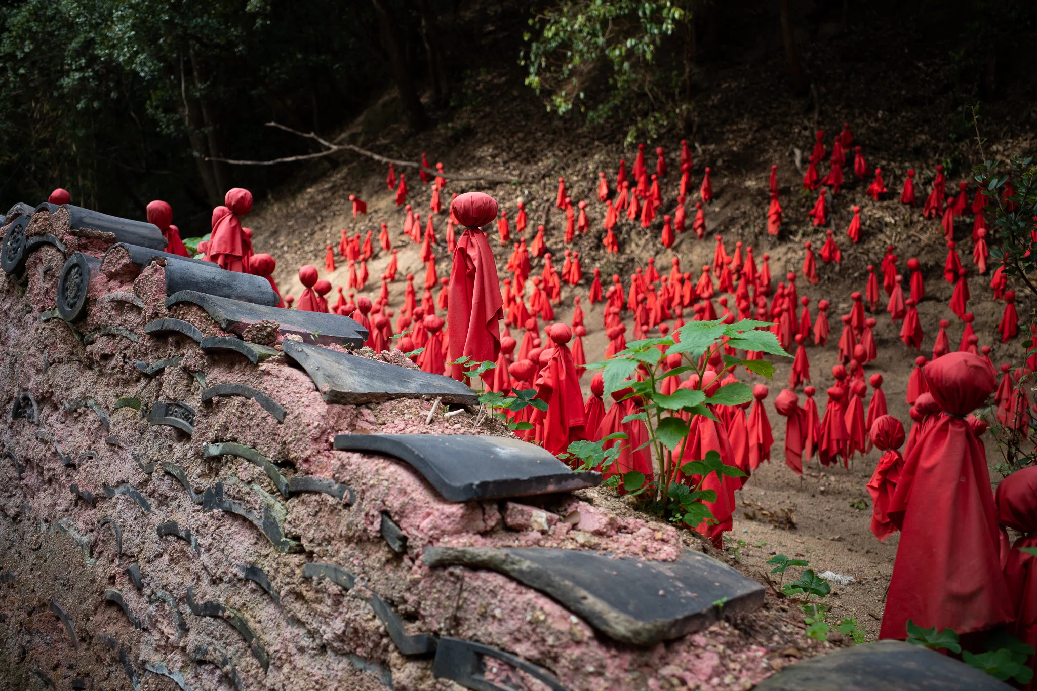 西の島・本島回想記〜瀬戸内国際芸術祭秋会期2019年と2022年｜コノハ