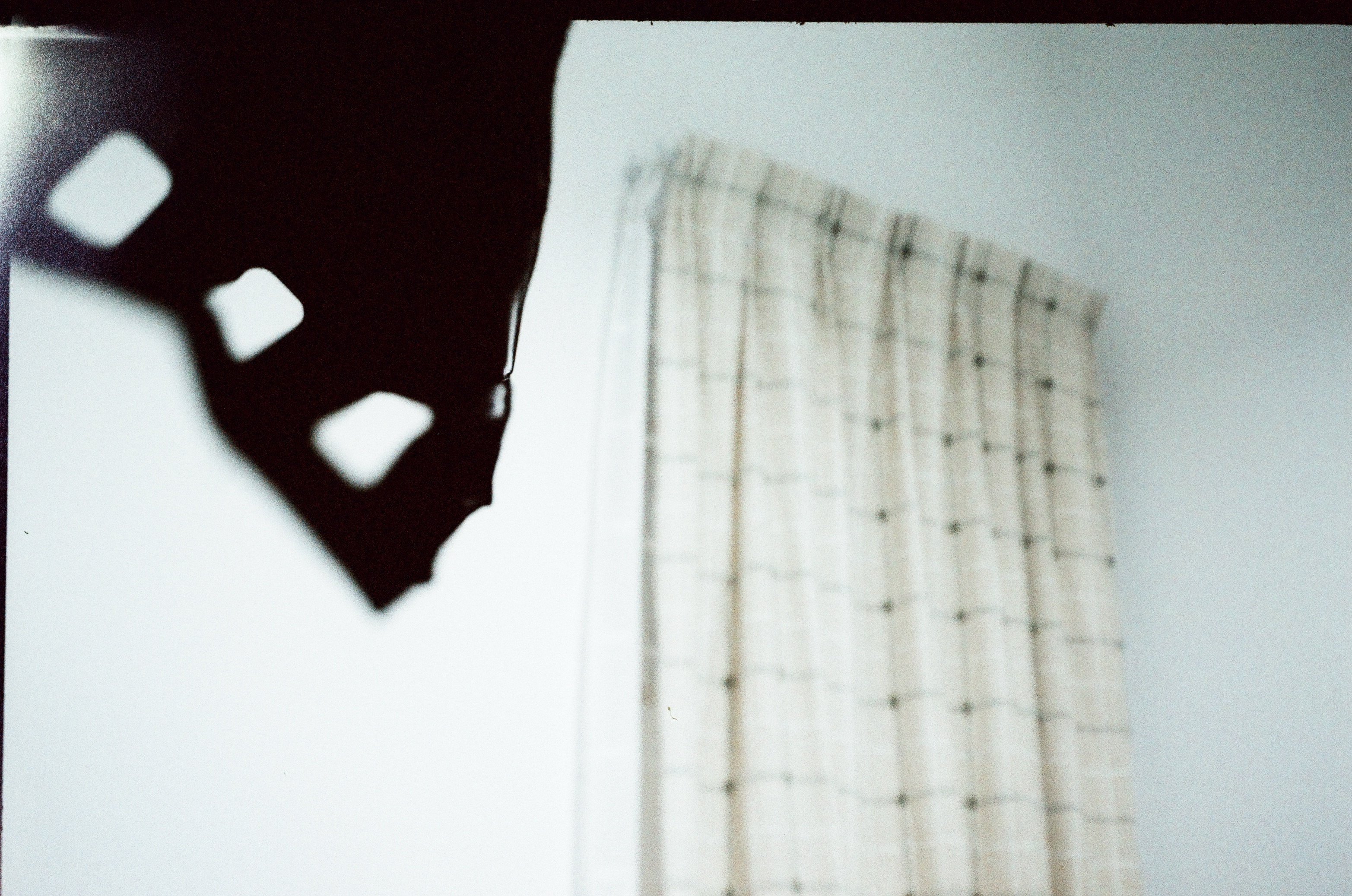 なんかちいさくておかしなやつ(wirgin Edinex)｜あいびす