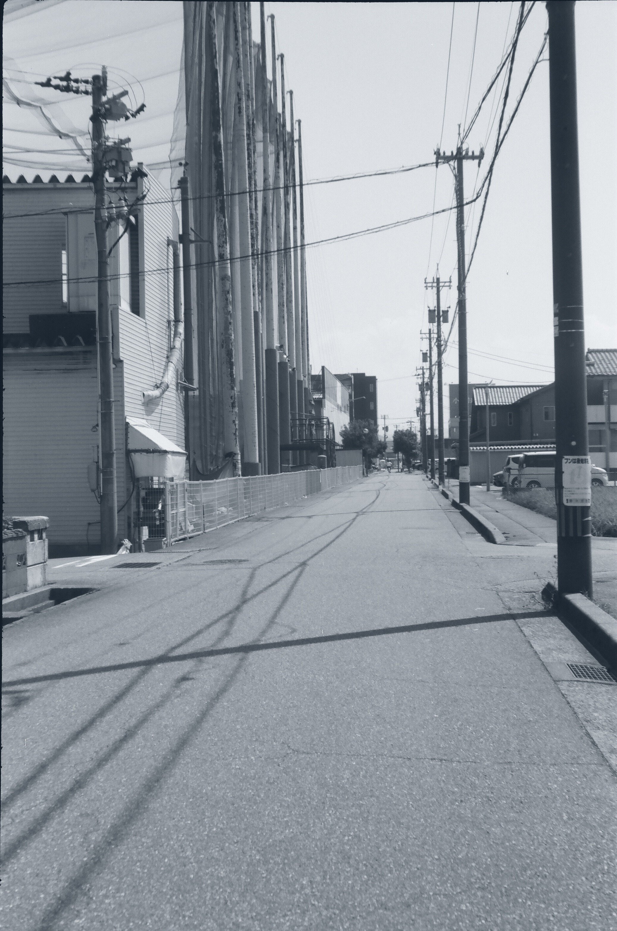 なんかちいさくておかしなやつ(wirgin Edinex)｜あいびす