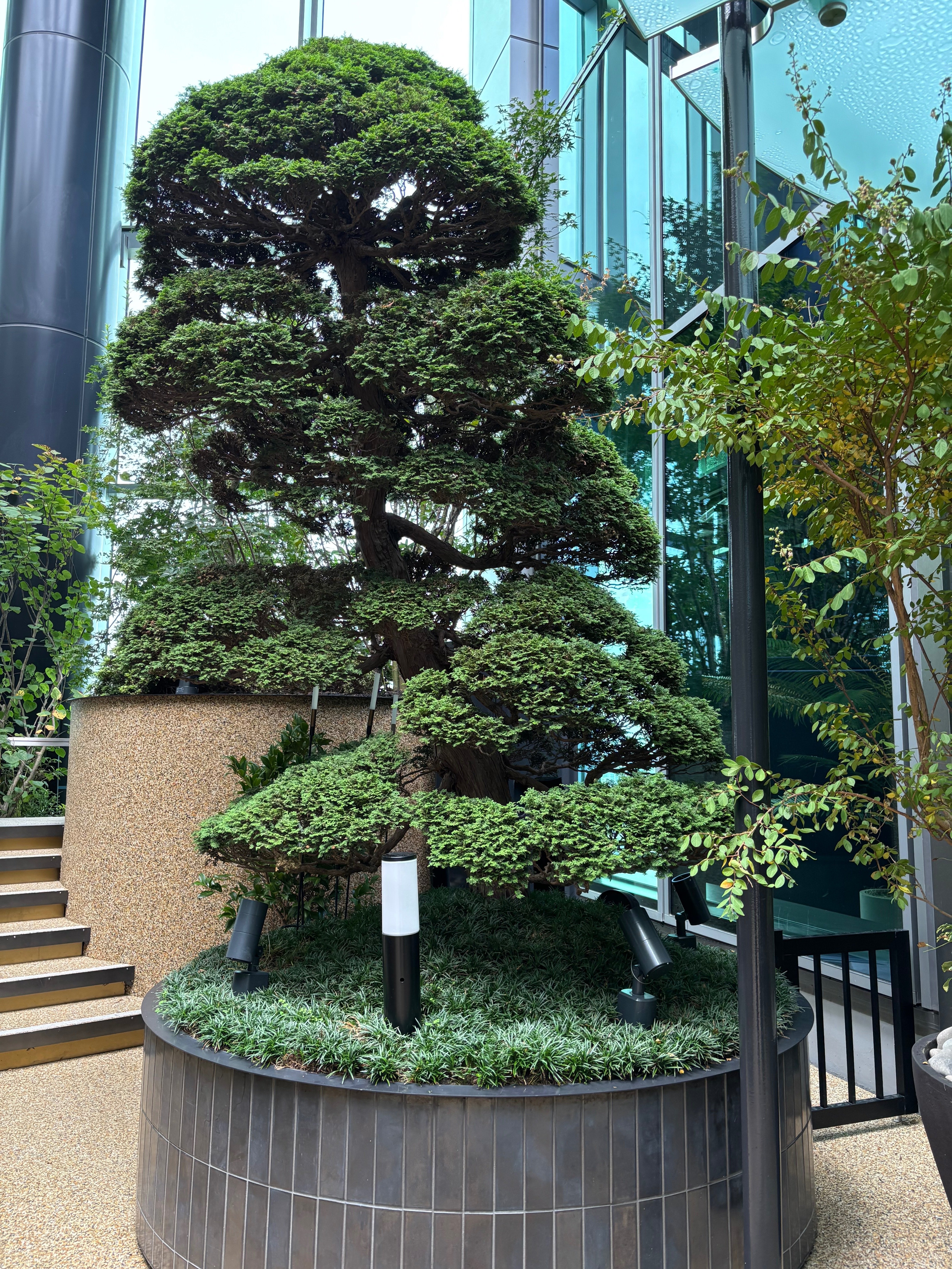 LUFT BAUM「翠の庭」 ニュウマン高輪の空中庭園を見に行く｜kawa