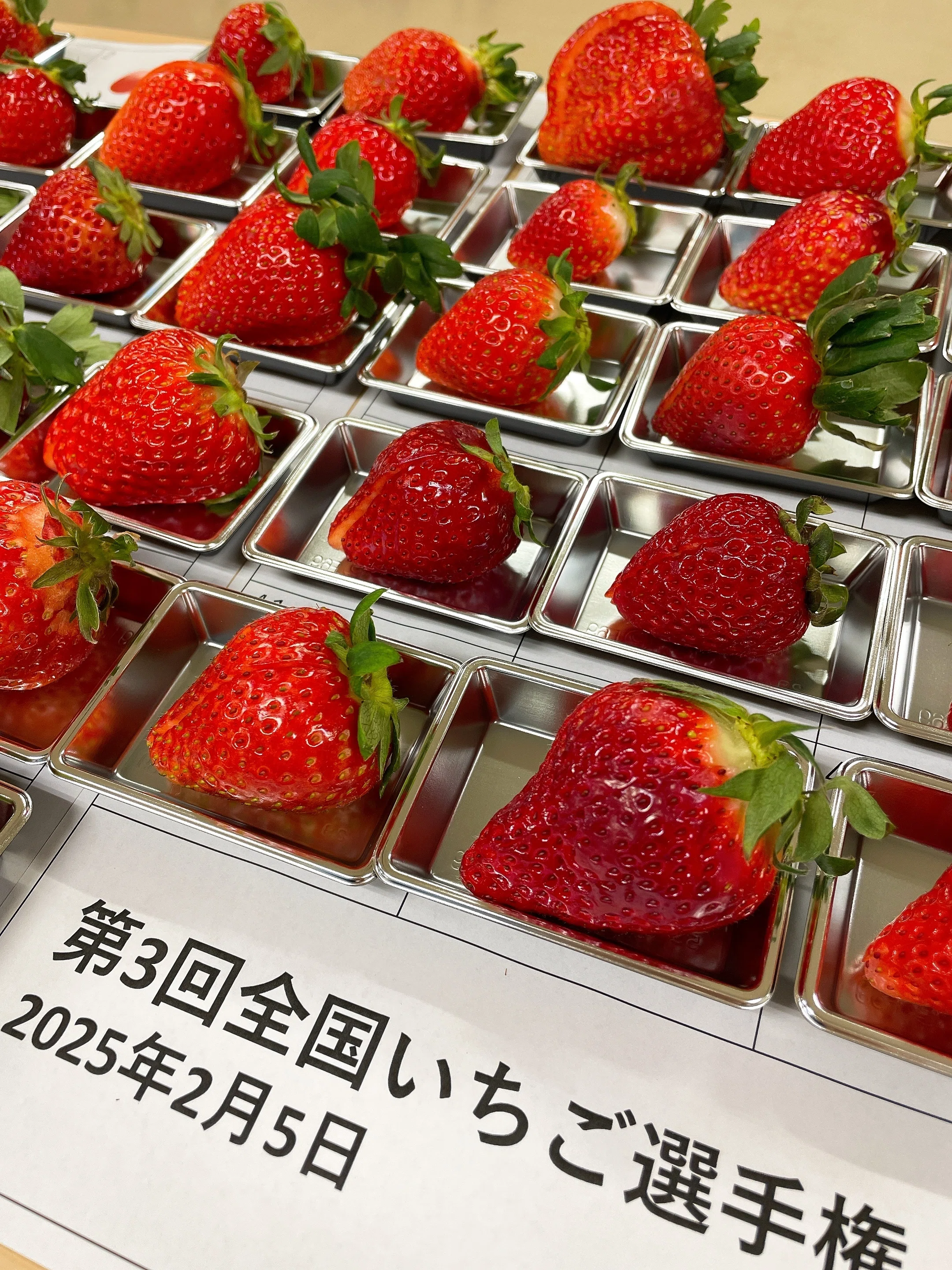 自己紹介｜いちごファン｜神奈川いちご｜かなこまち｜はじめてのnote