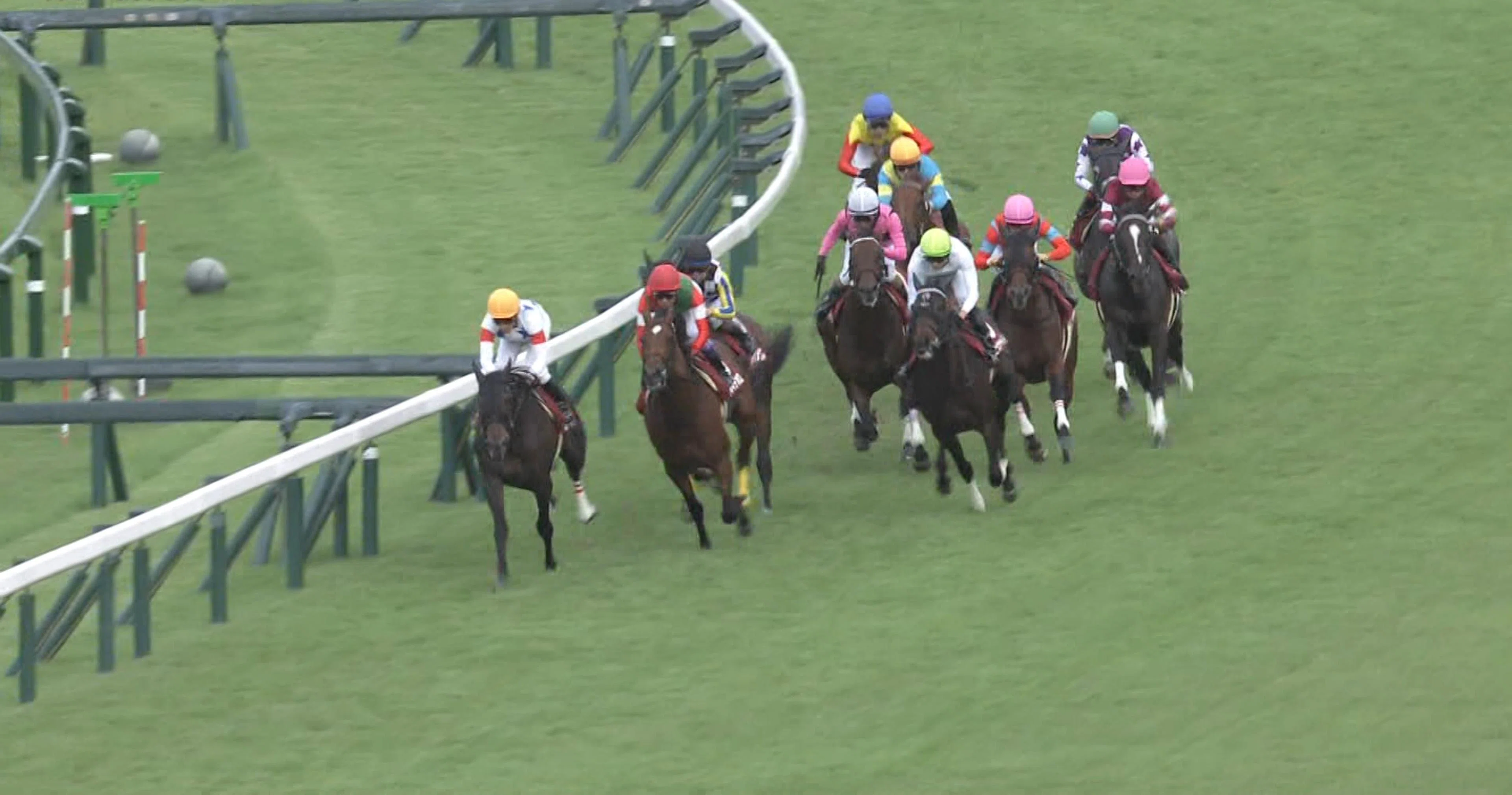 神戸新聞杯（GⅡ）回顧】推奨馬エリキング1着～トリプル的中!?｜Haya
