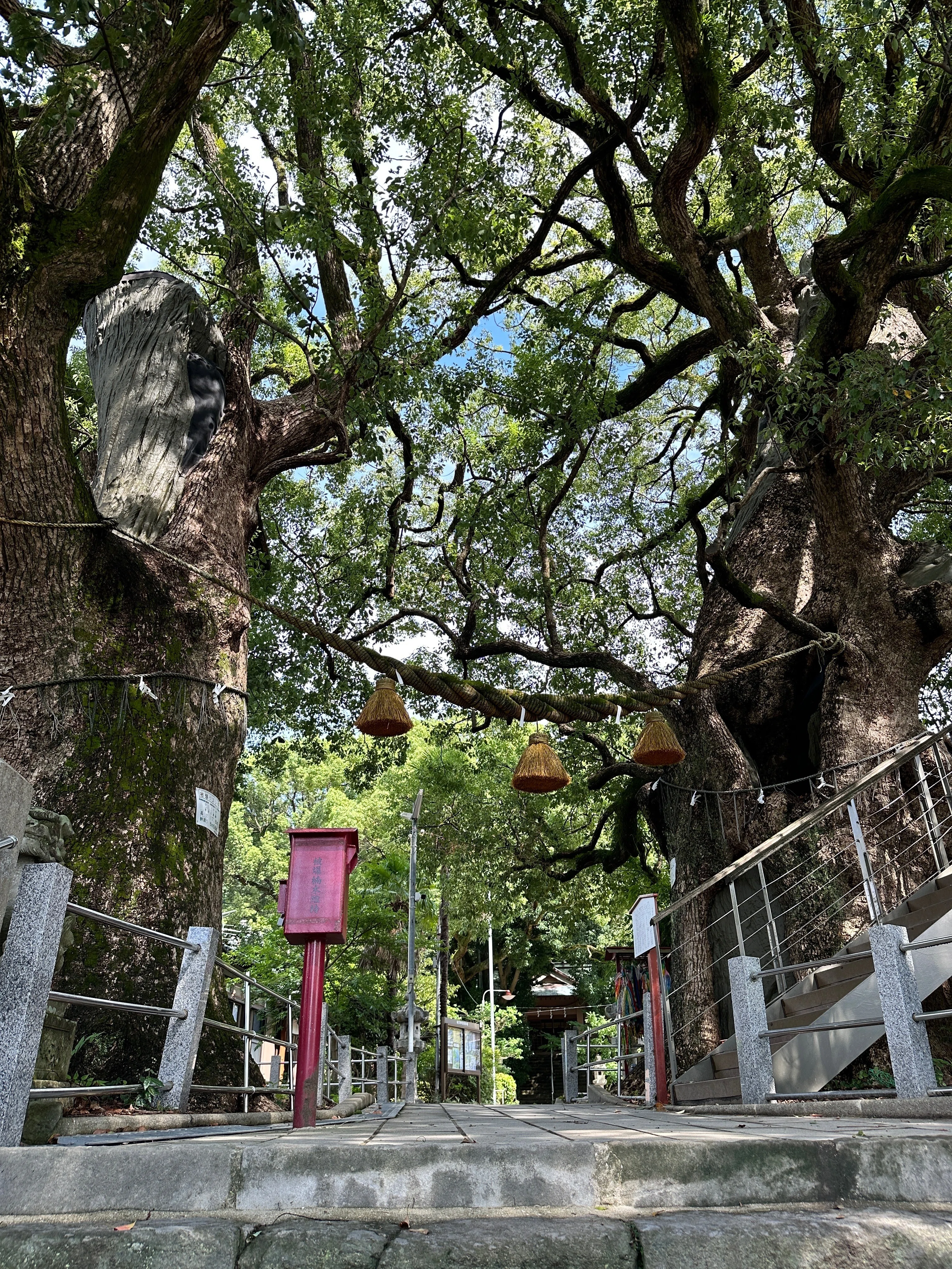 福山雅治「クスノキ」の元になった山王神社を訪れてみた｜ゆーすけ旅日記