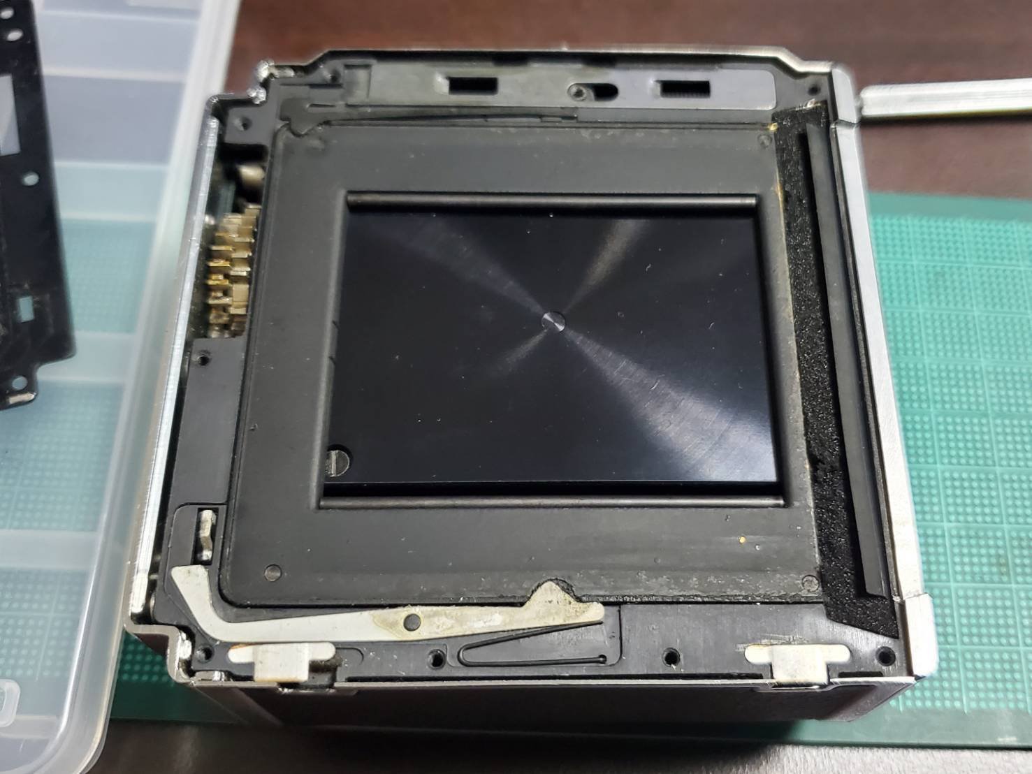 ハッセルブラッドA16マガジン購入……｜峰海 なまこ