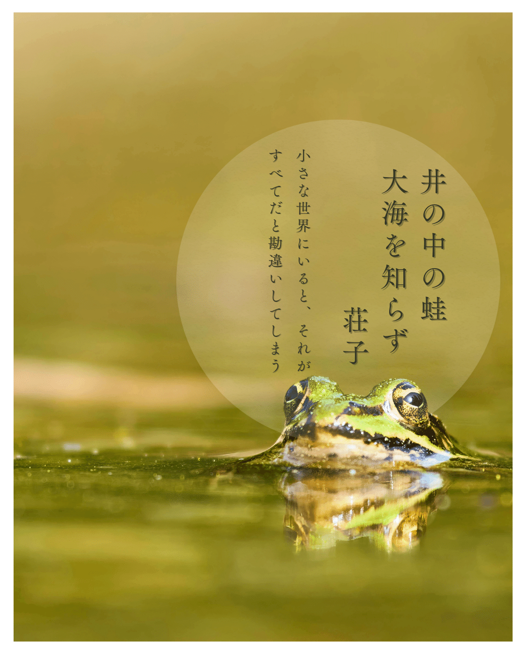 井の中の蛙、大海を知らず」｜自己実現＆可能性開花コーチ エマ由紀子