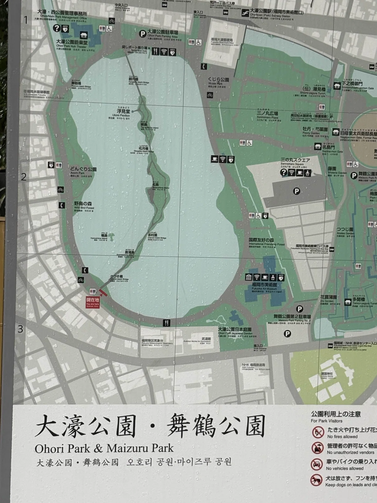 公の場での発言・インタビュー報道記録