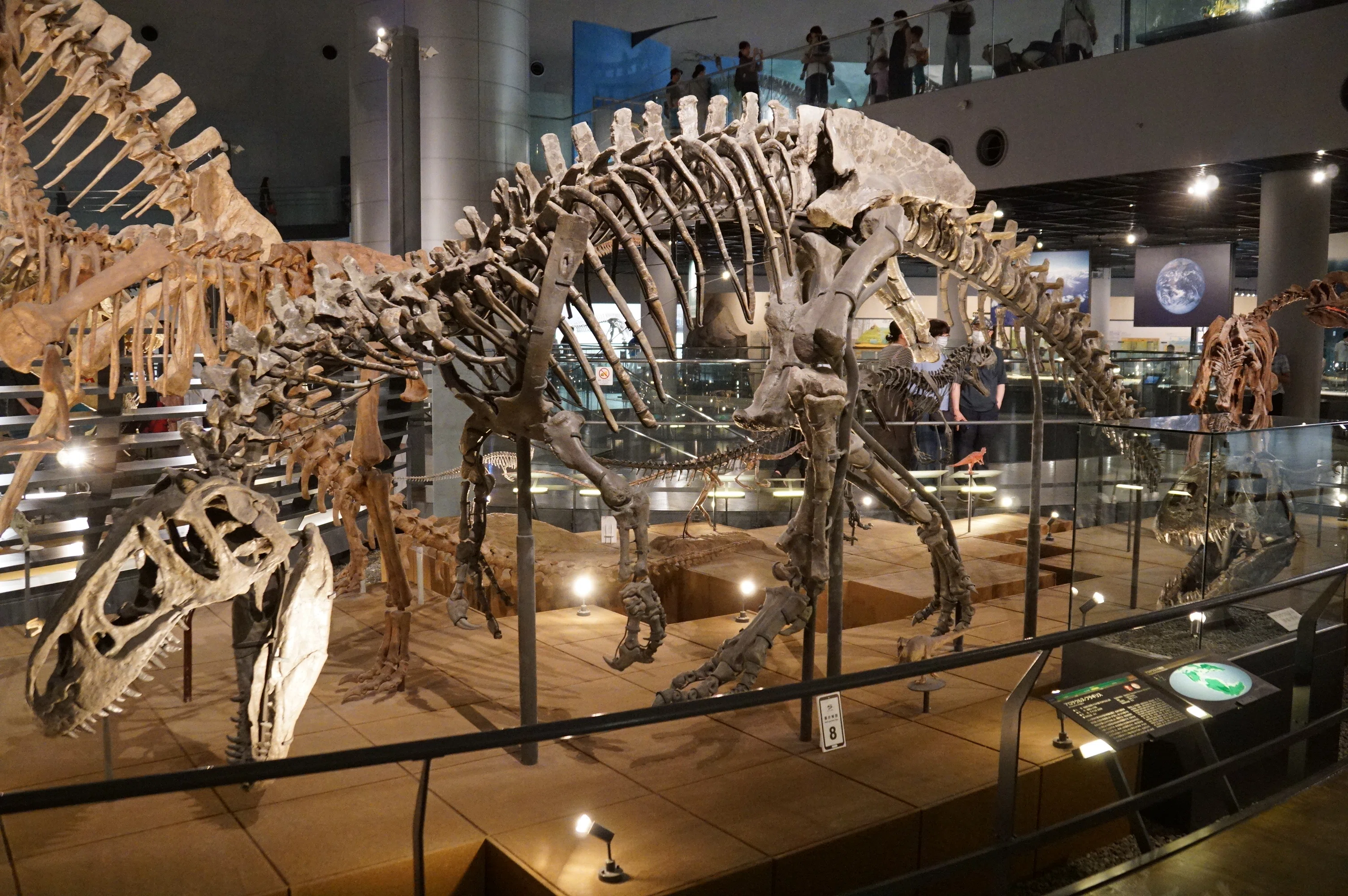 福井県立恐竜博物館 特別展「獣脚類2025」ですよ｜始祖鳥堂まふ（M.A.F.）