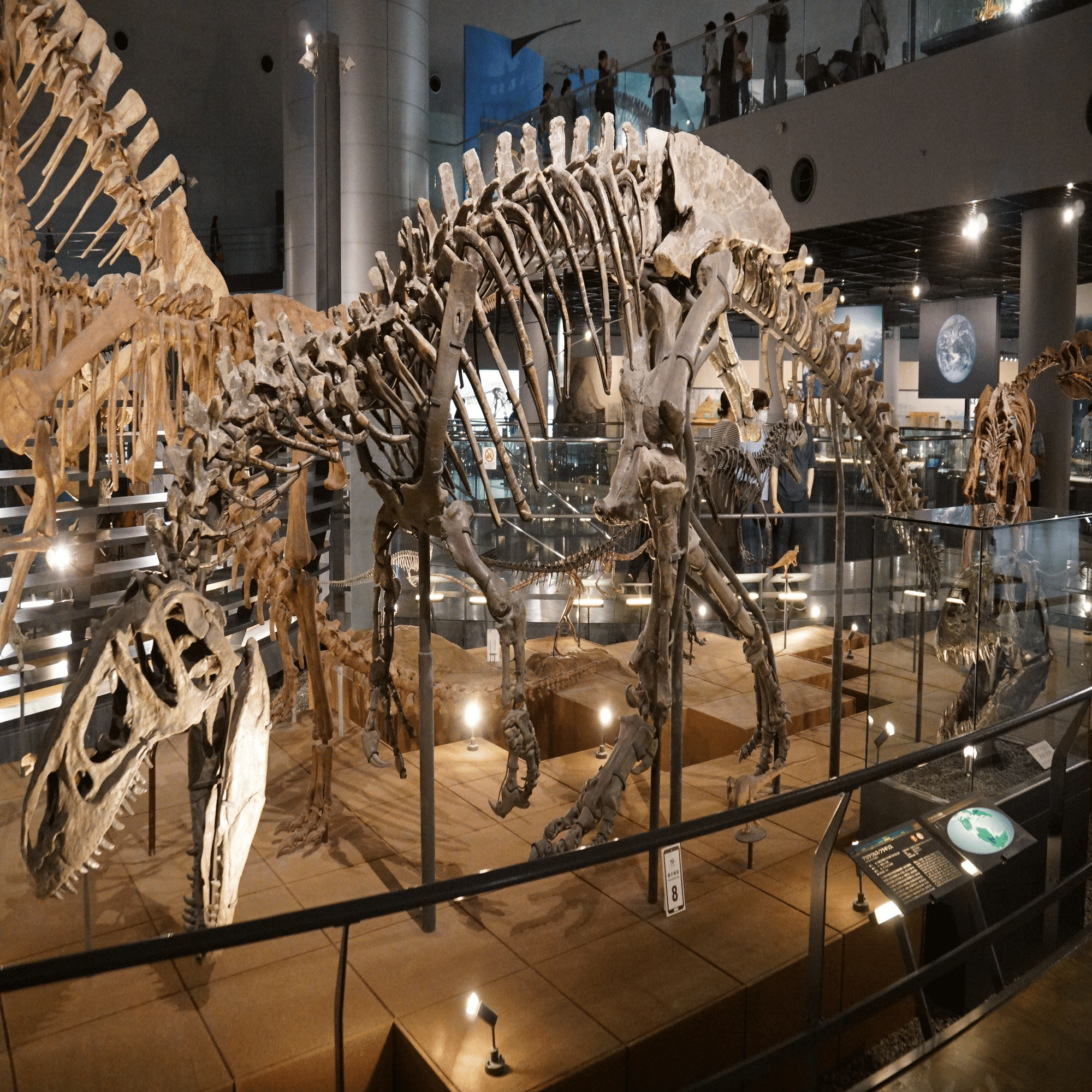 福井県立恐竜博物館 特別展「獣脚類2025」ですよ｜始祖鳥堂まふ（M.A.F.）