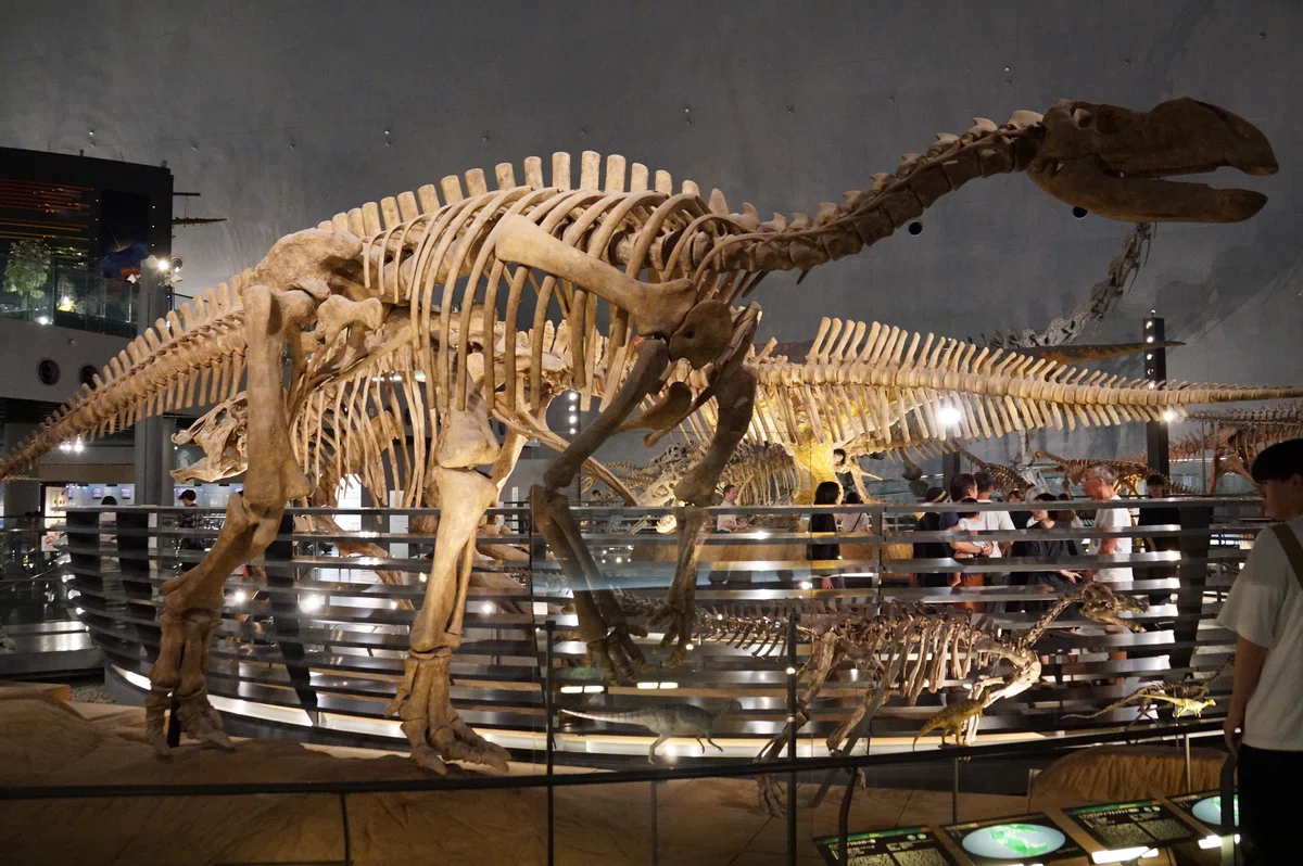 福井県立恐竜博物館 特別展「獣脚類2025」ですよ｜始祖鳥堂まふ（M.A.F.）