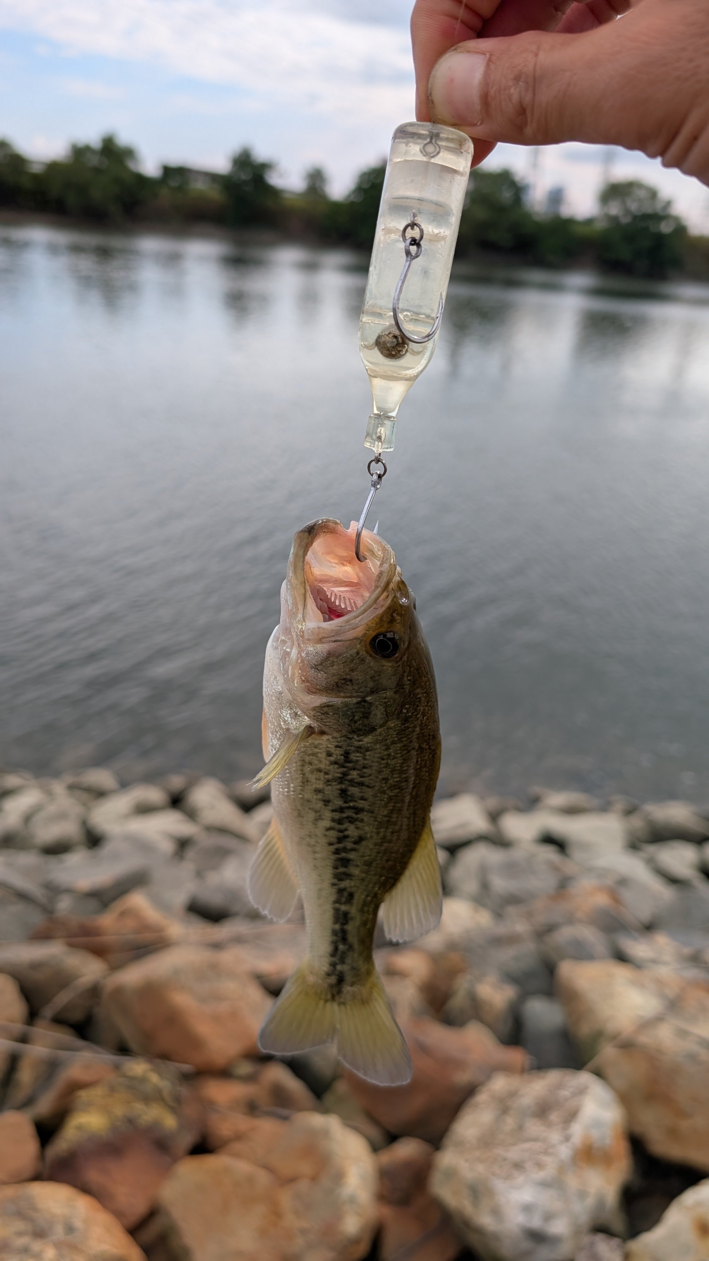 バス釣り 2025年春シーズン なかやすガイドサービス【桧原湖】 | Bass Fishing