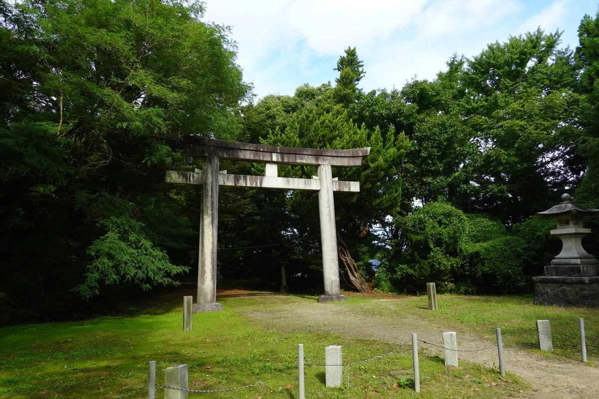 画像