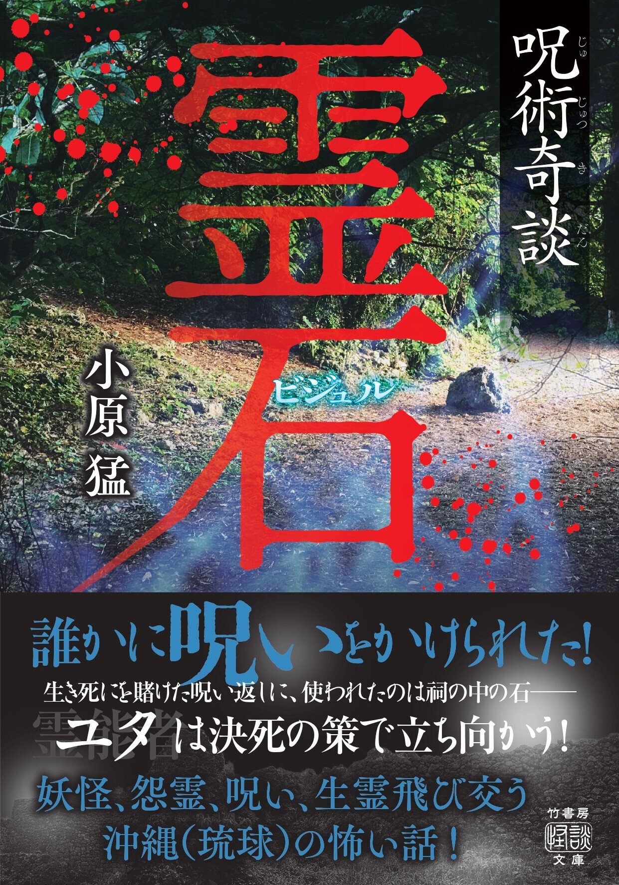 【中古】 恐怖卵 触ると死ぬ石/リイド社 怨霊飛び交う沖縄の怖い話『呪術奇談 霊石（ビジュル）』（小原