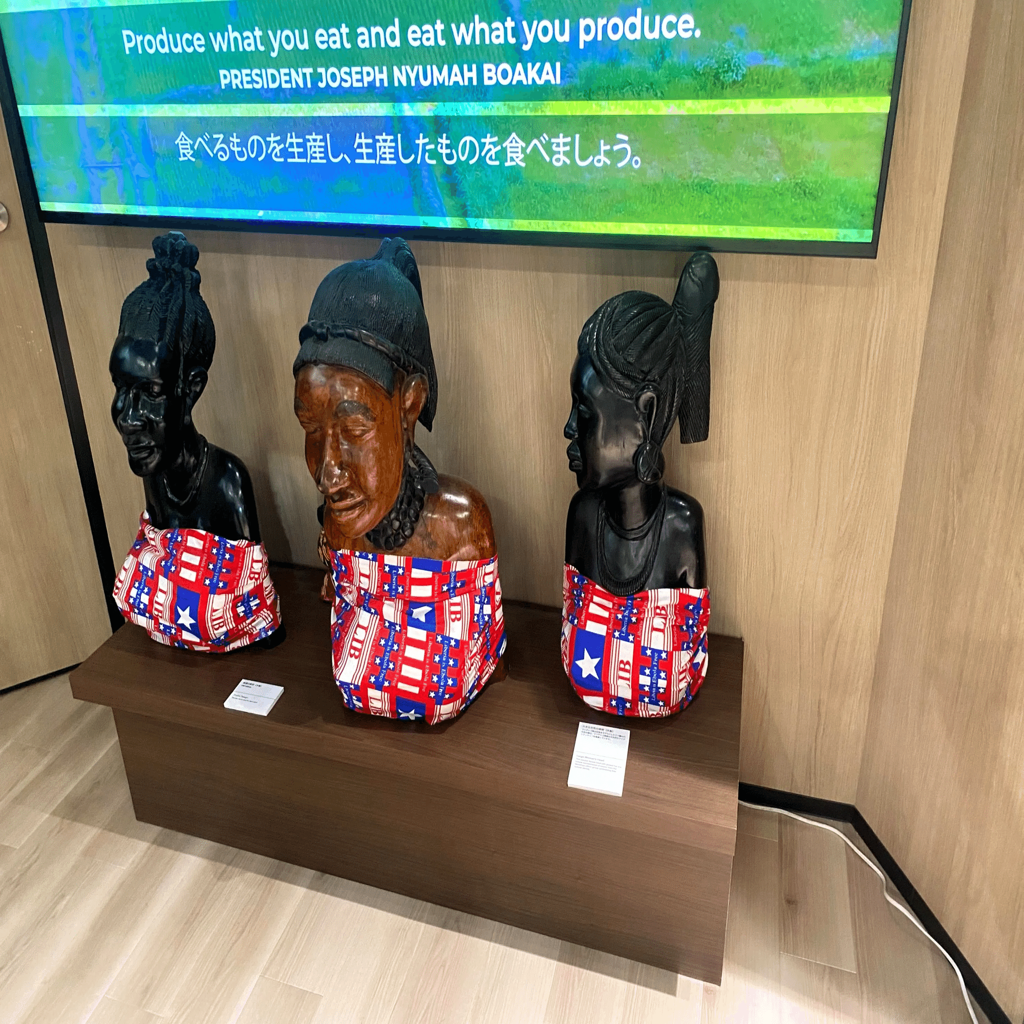 2025/09大阪万博 参加レポート②（コモンズD）｜朝日山サイクル