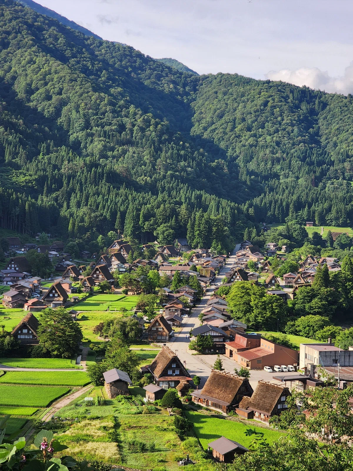 【中央高地編】日本一周ひとり旅｜文化と自然の頂点、白川郷と王ヶ鼻｜からす｜ひとり旅