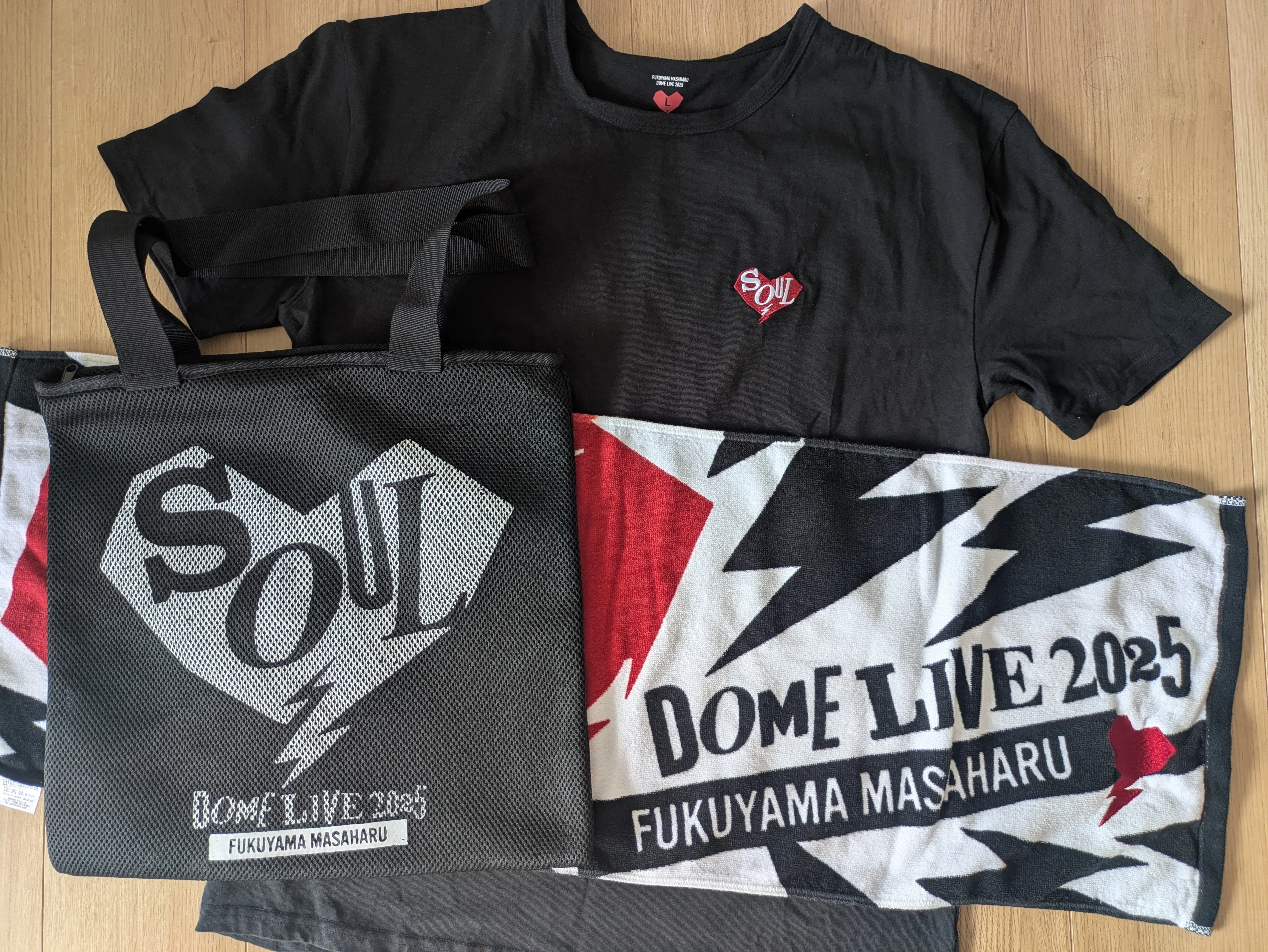 FUKUYAMA MASAHARU 35TH ANNIVERSARY DOME LIVE 2025 // SOUL｜ひらひら