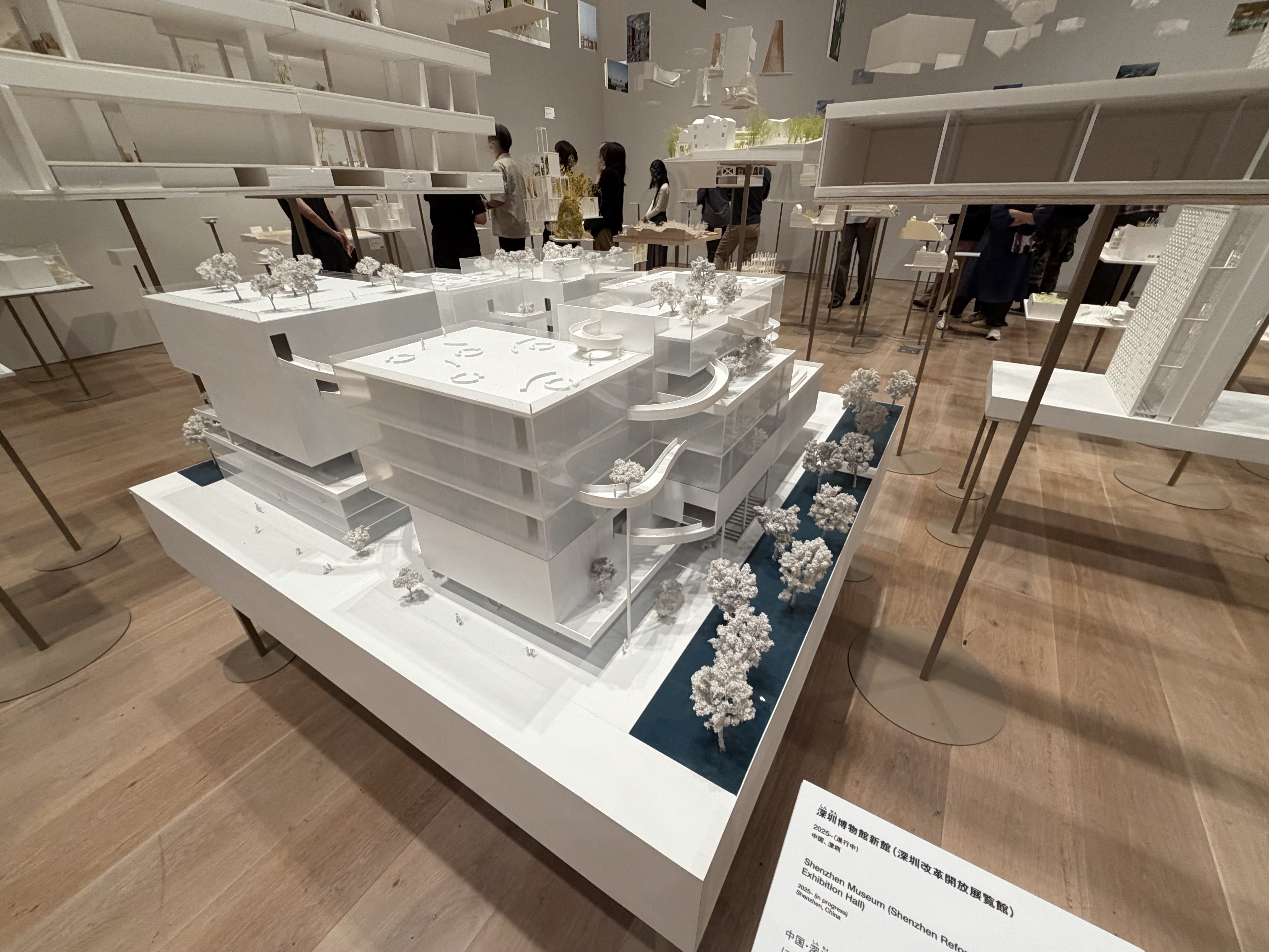 建築家「藤本壮介」の大屋根リングを体感しに万博へ行ってきた