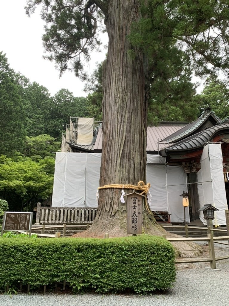 神社訪問記：北口本宮冨士浅間神社｜ここから先が富士山という境目