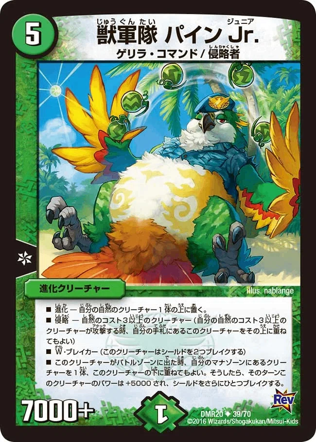 赤緑レッゾパインJr】おいしいゴーヤチャンプルーをつくろう！【CS