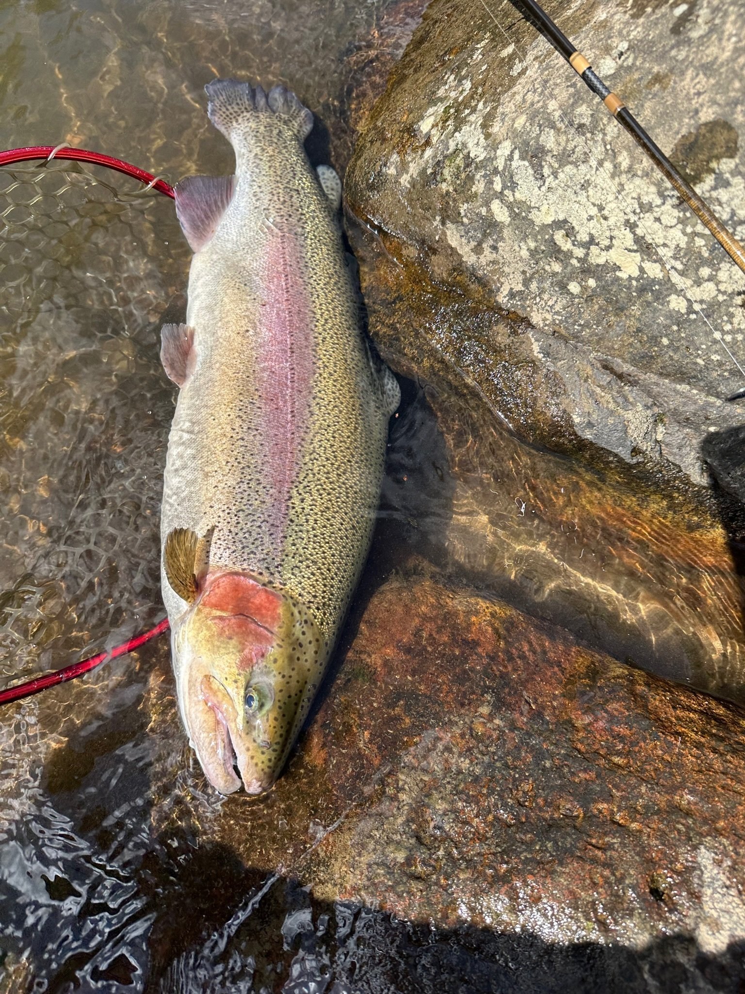 2025年9月21日（日）箒川C＆R釣行〜フックセッティングを詰めて