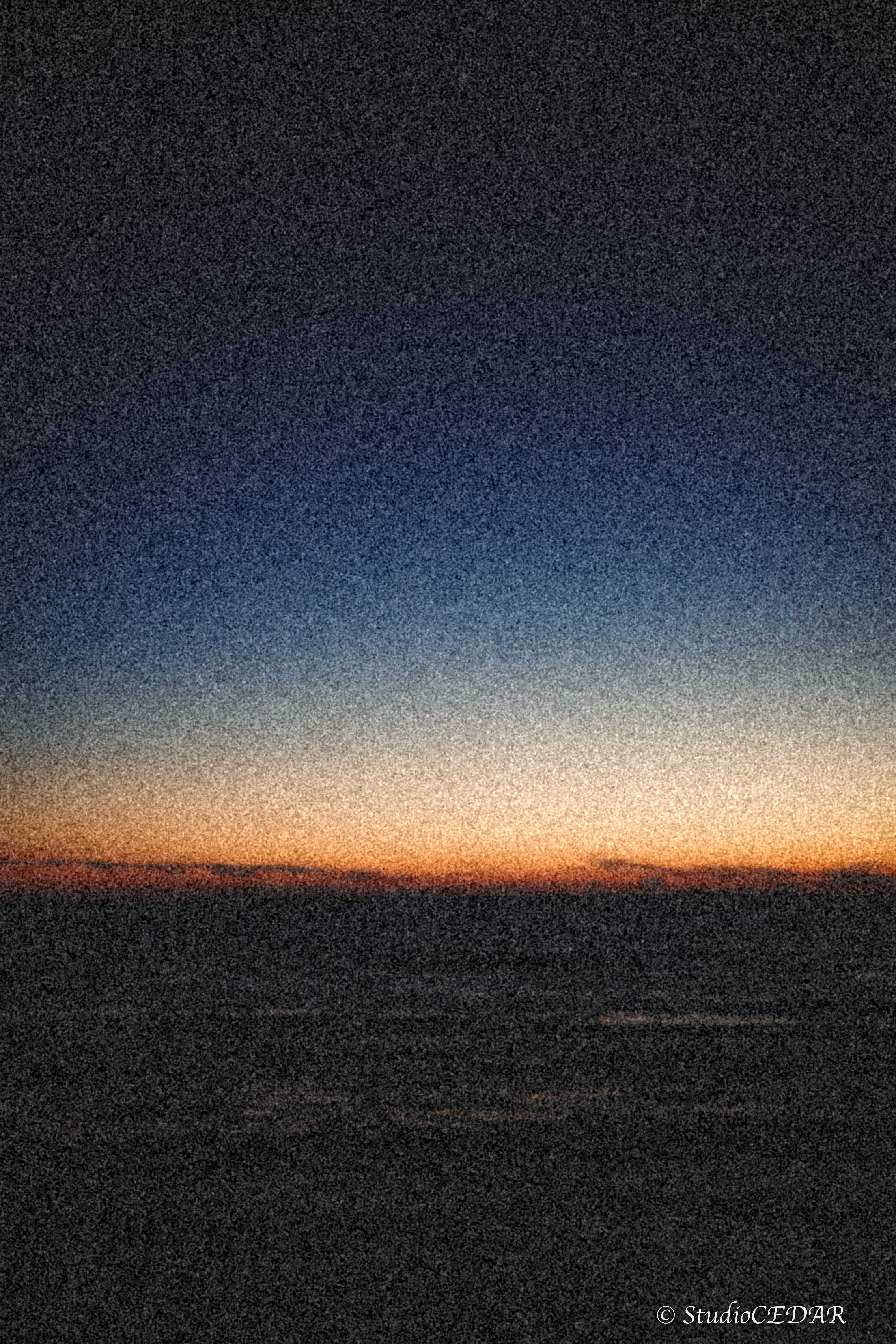 だからボクは「カメラ」じゃないカメラが欲しい｜すぎっち