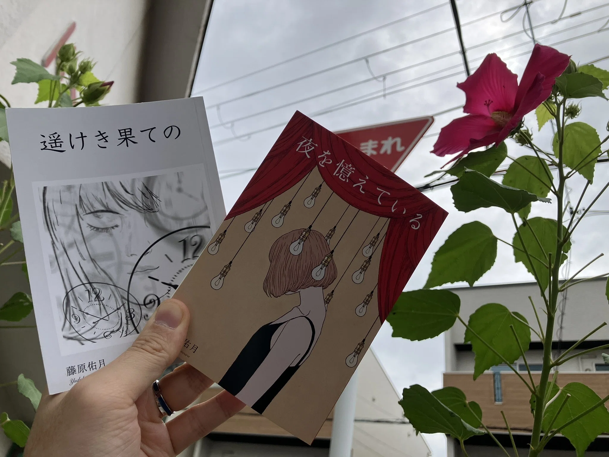 文学フリマで買った本 #1｜にゃんしー