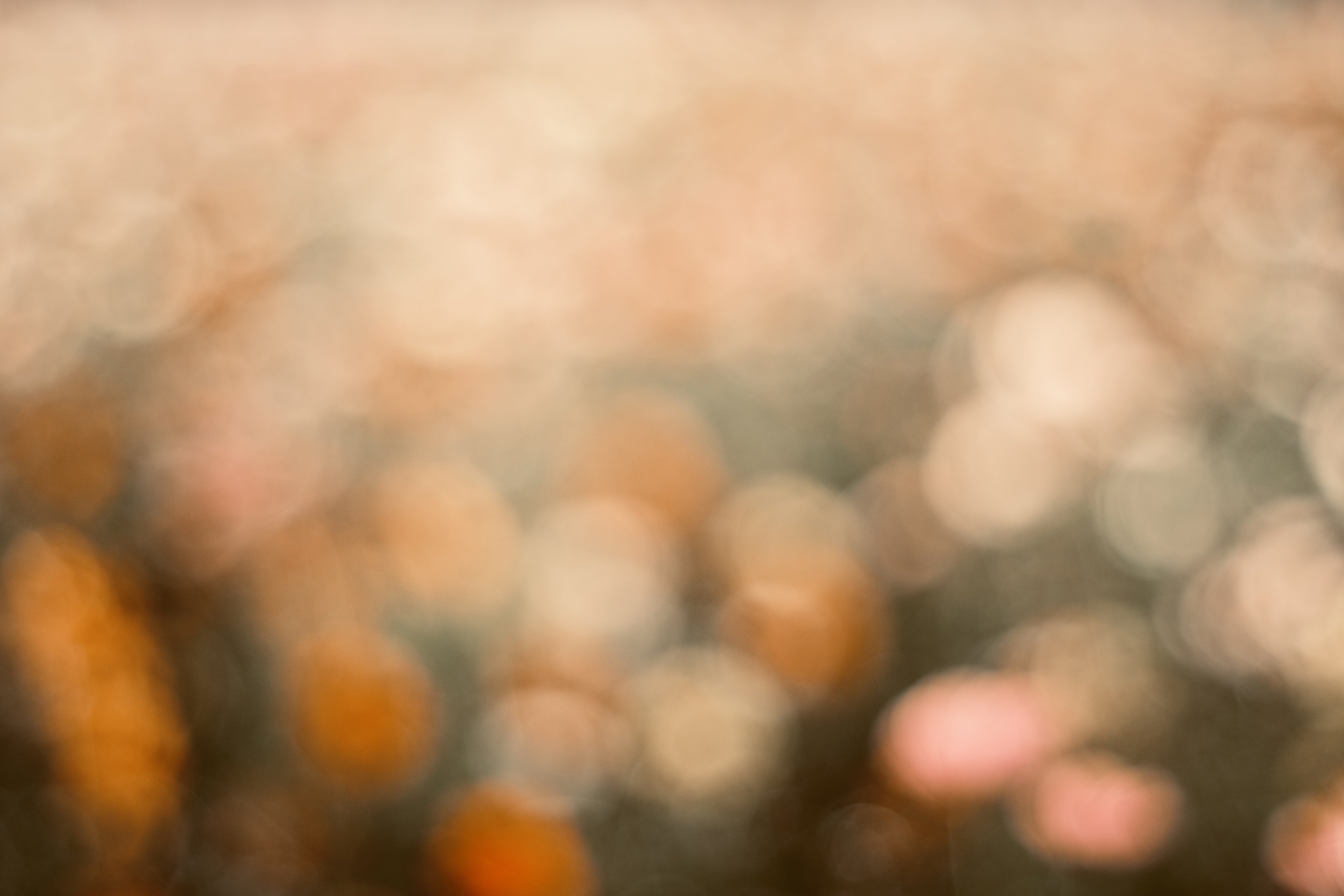 FUJIFILM X-S10｜鉄板オールドレンズ Super Takumar 55mm F1.8｜1GOU