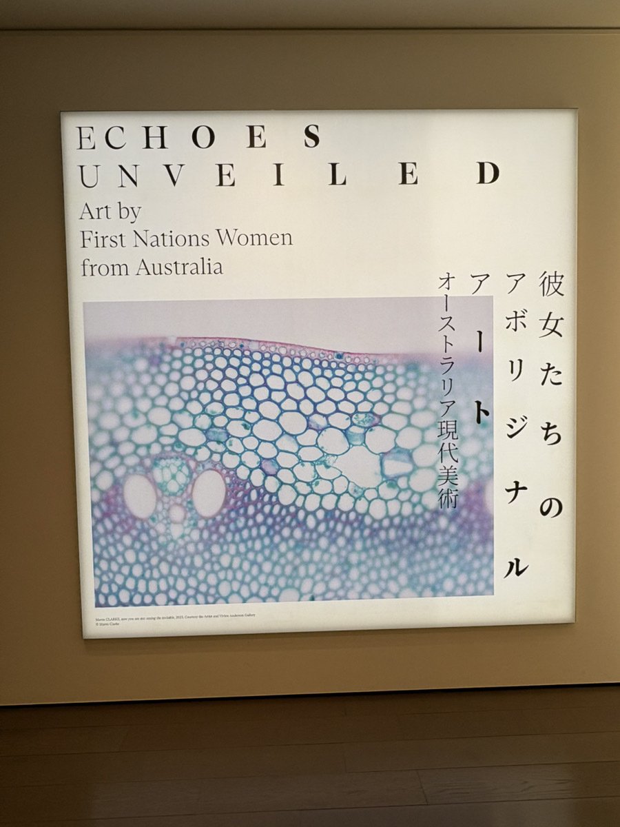 あなただけの作品をお作り致します！オリジナルアート 世界で1つ 絵画 芸術 彼女たちのアボリジナル・アート オーストラリア現代美術｜伝統と差別