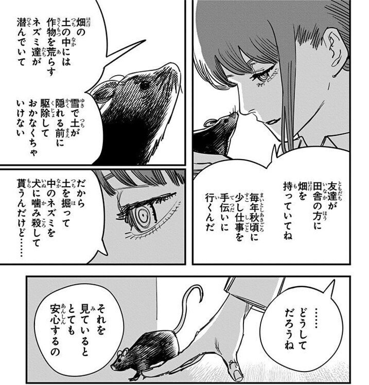 チェンソーマン note】チェンソーマン ヴァイス デッキ ストブ宝 WS