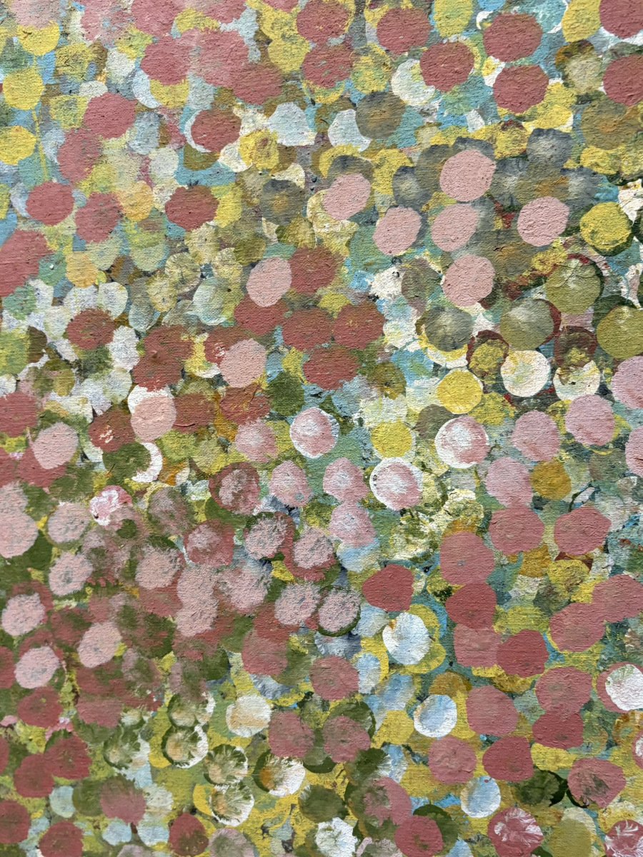 彼女たちのアボリジナル・アート オーストラリア現代美術｜伝統と差別