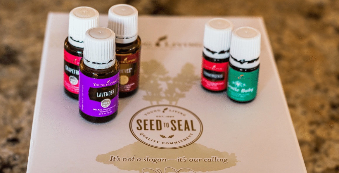 ヤングリビングはやばい。｜麻月