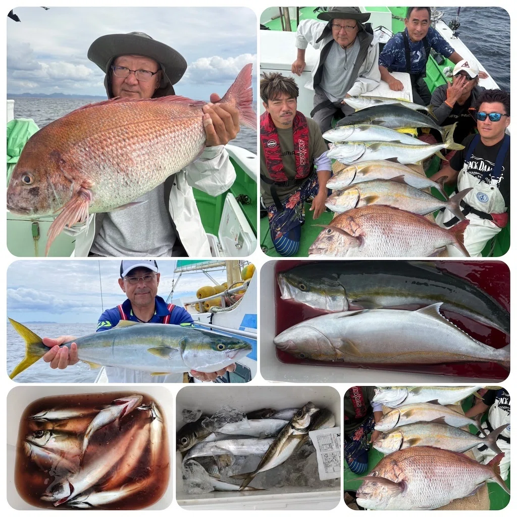 泳がせ釣り爆釣！6kg真鯛・3-4kgワラサ・4kgカンパチ！｜あまさけや丸