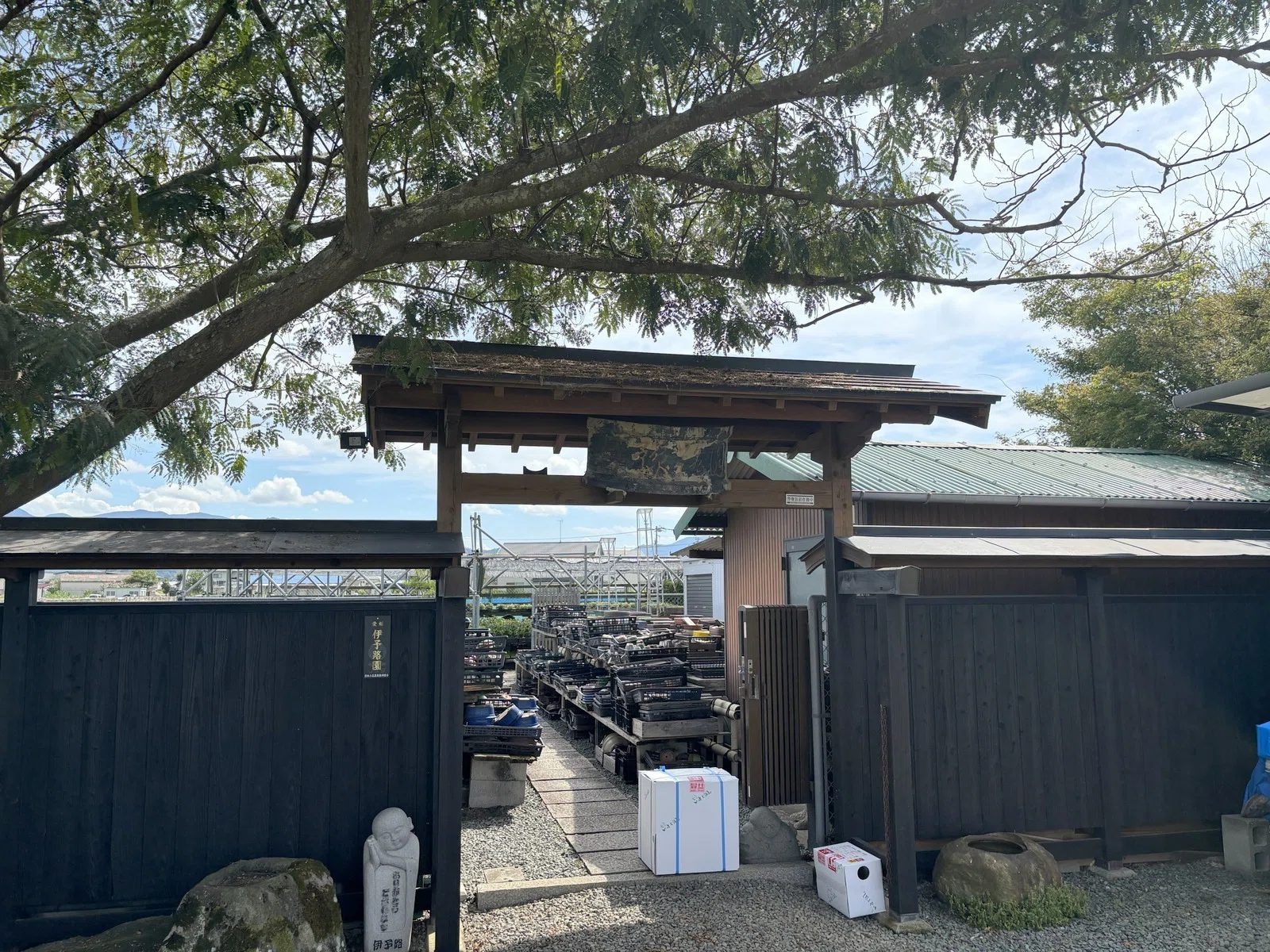 いまや希少な盆栽-BONSAI-専門店「いよじ園」（愛媛・松前町）に行った