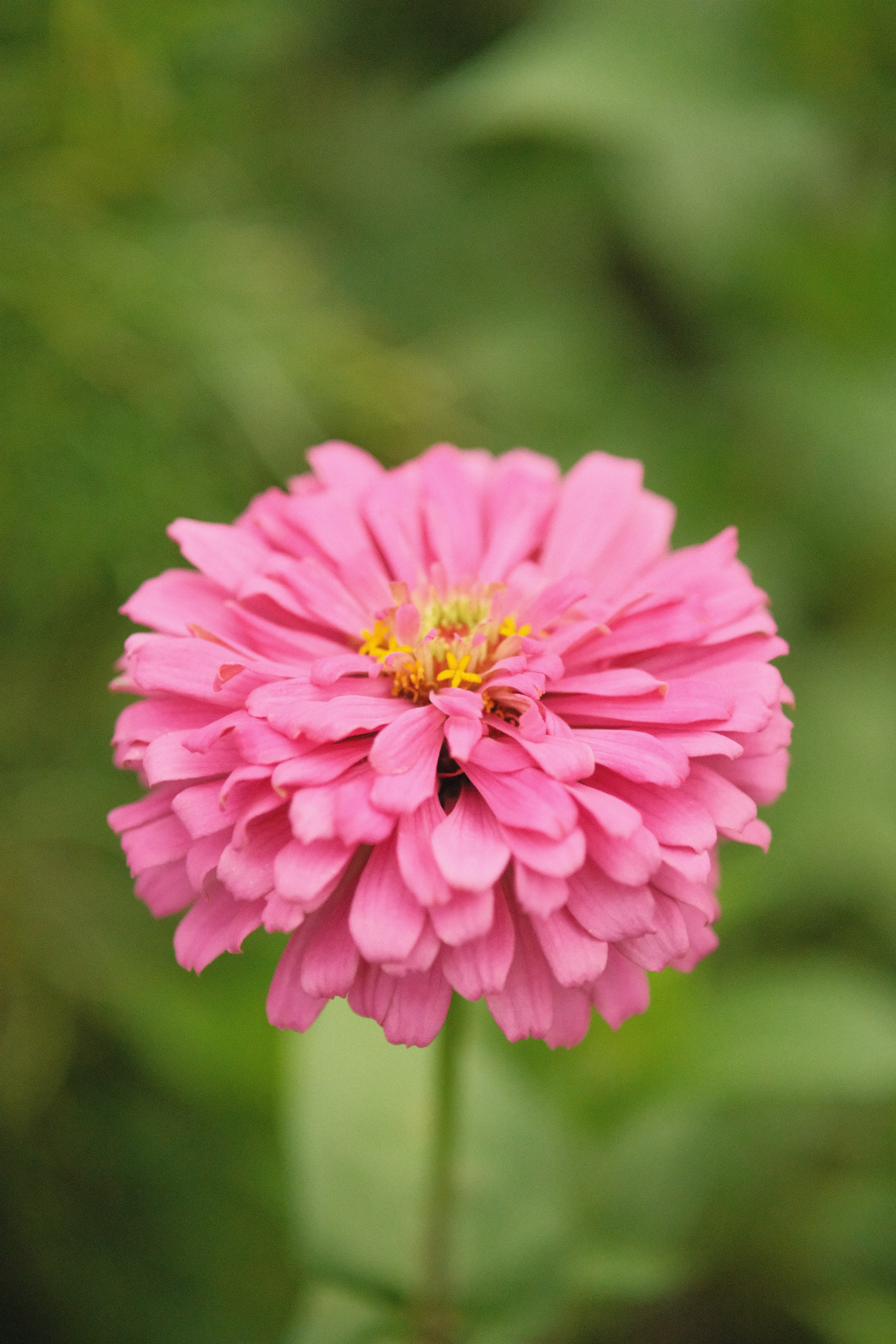 即決価格ありましたらコメントを♡ 昭和レトロ　お洒落な花台♡ 即決価格ありましたらコメントを♡ 昭和レトロ お洒落な花台♡