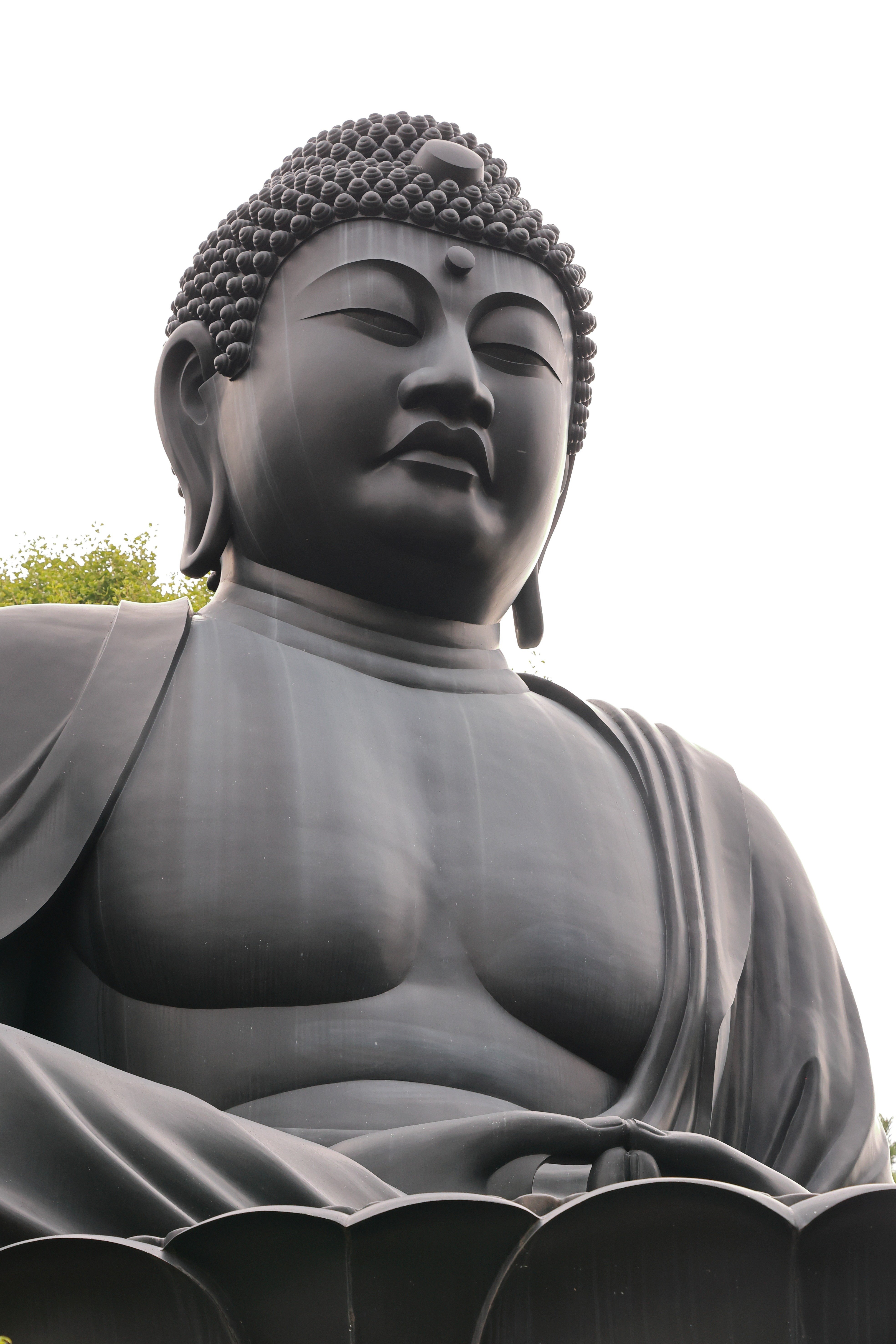 乗蓮寺（東京大仏と津藩藤堂家染井屋敷ゆかりの石造物）｜板橋史談会