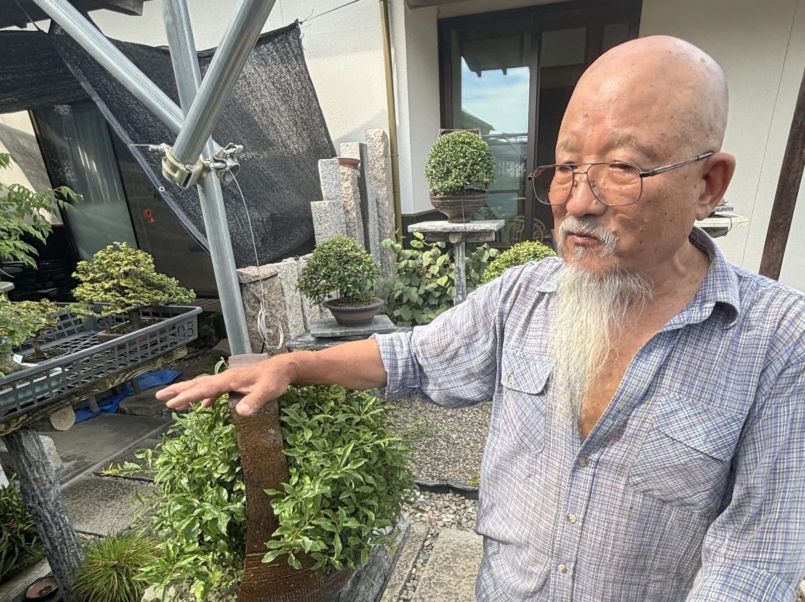 いまや希少な盆栽-BONSAI-専門店「いよじ園」（愛媛・松前町）に行った