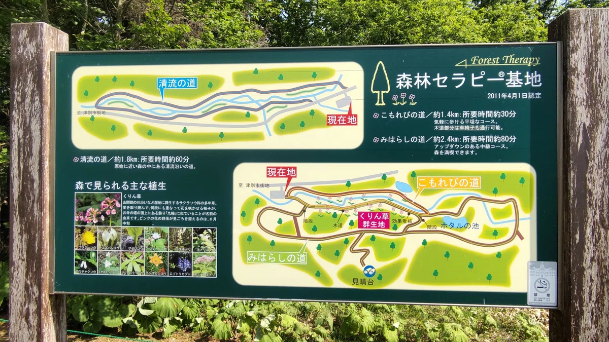 ノンノの森のハイキングコースの地図の写真