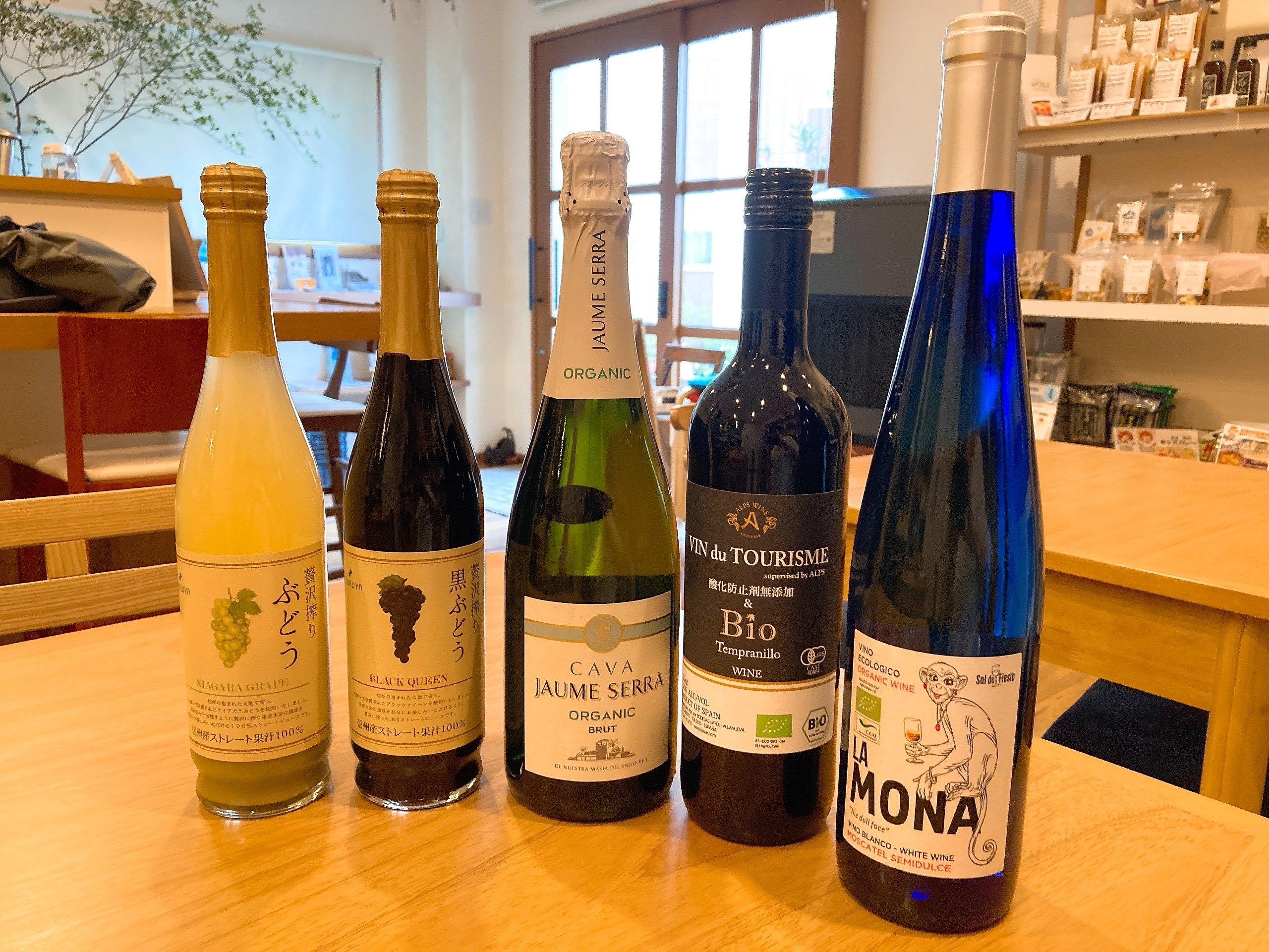 本と人がつながる夜🍷ワインと共に楽しむ読書会レポート｜もちもち文庫