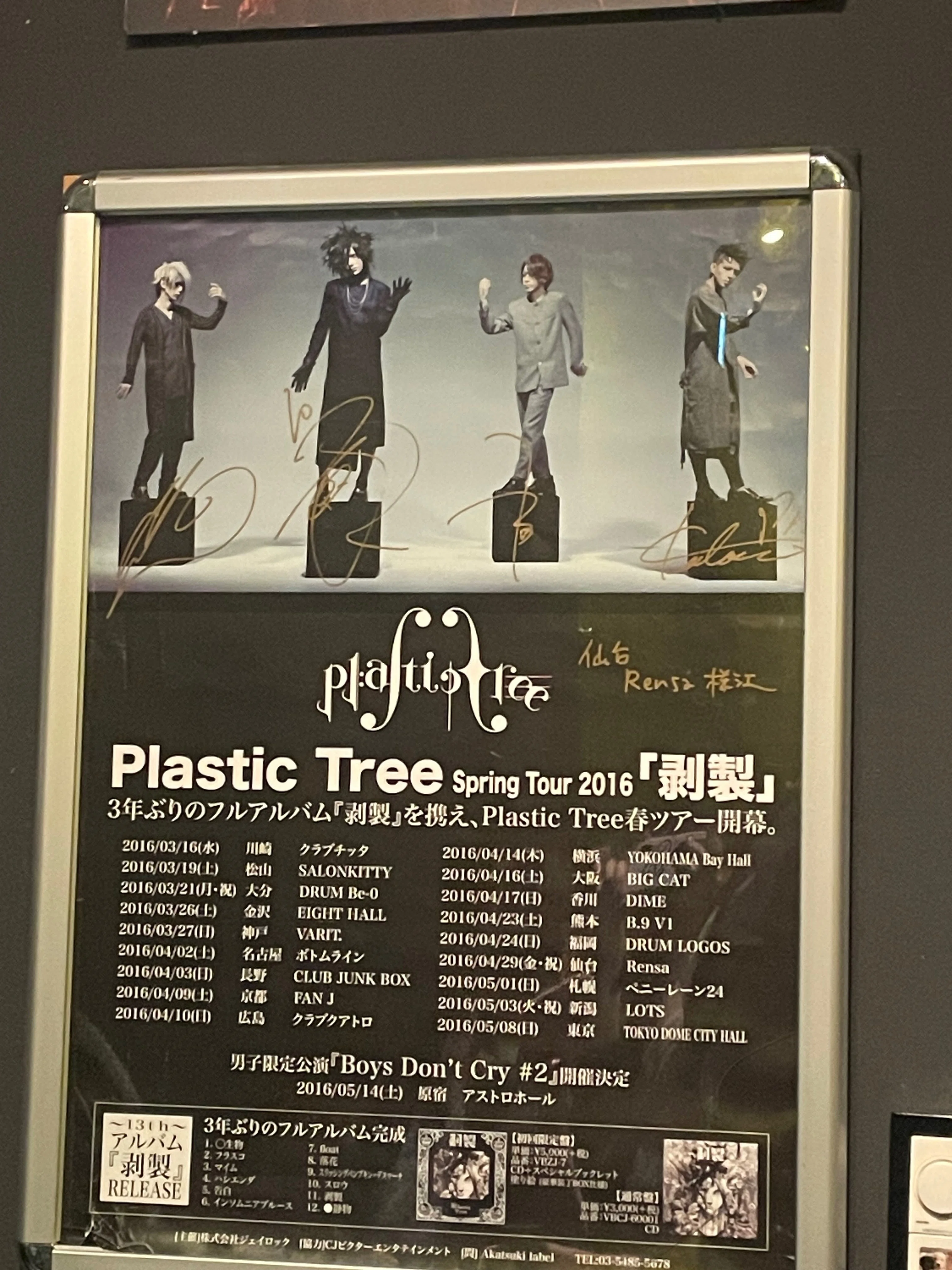 plastic treeフライヤーセット他 Plastic Tree Phylogenetic Tree Tour Act.2-a piece of “トロイメライ