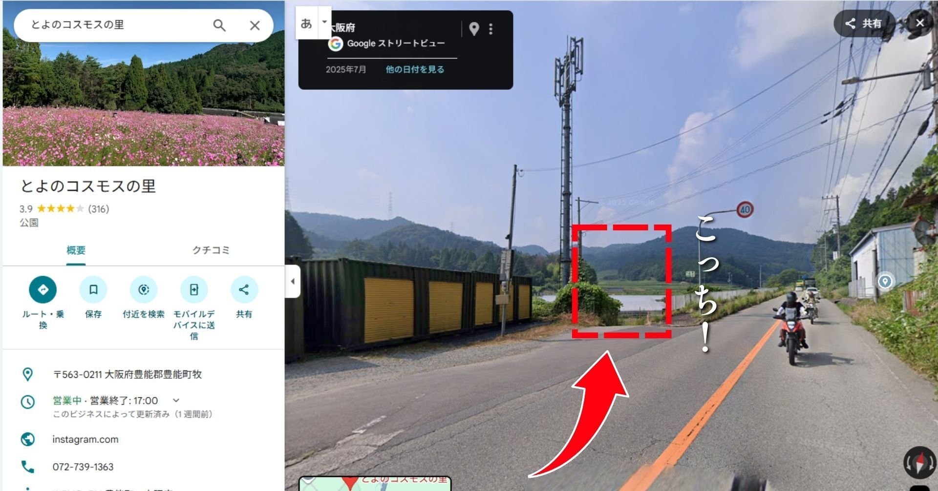 作例あり】Sony α7rVとFUJIFILM X-E5、とよのコスモスの里で撮り比べ