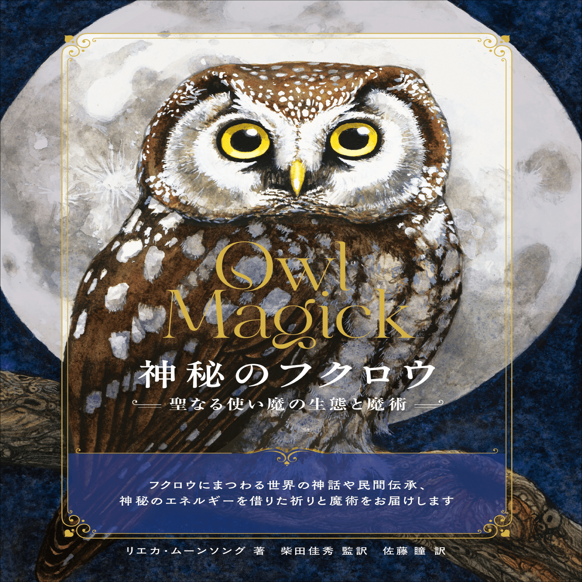 魔法世界と切り離せない使い魔「フクロウ」の生態と伝承、魔術の実践