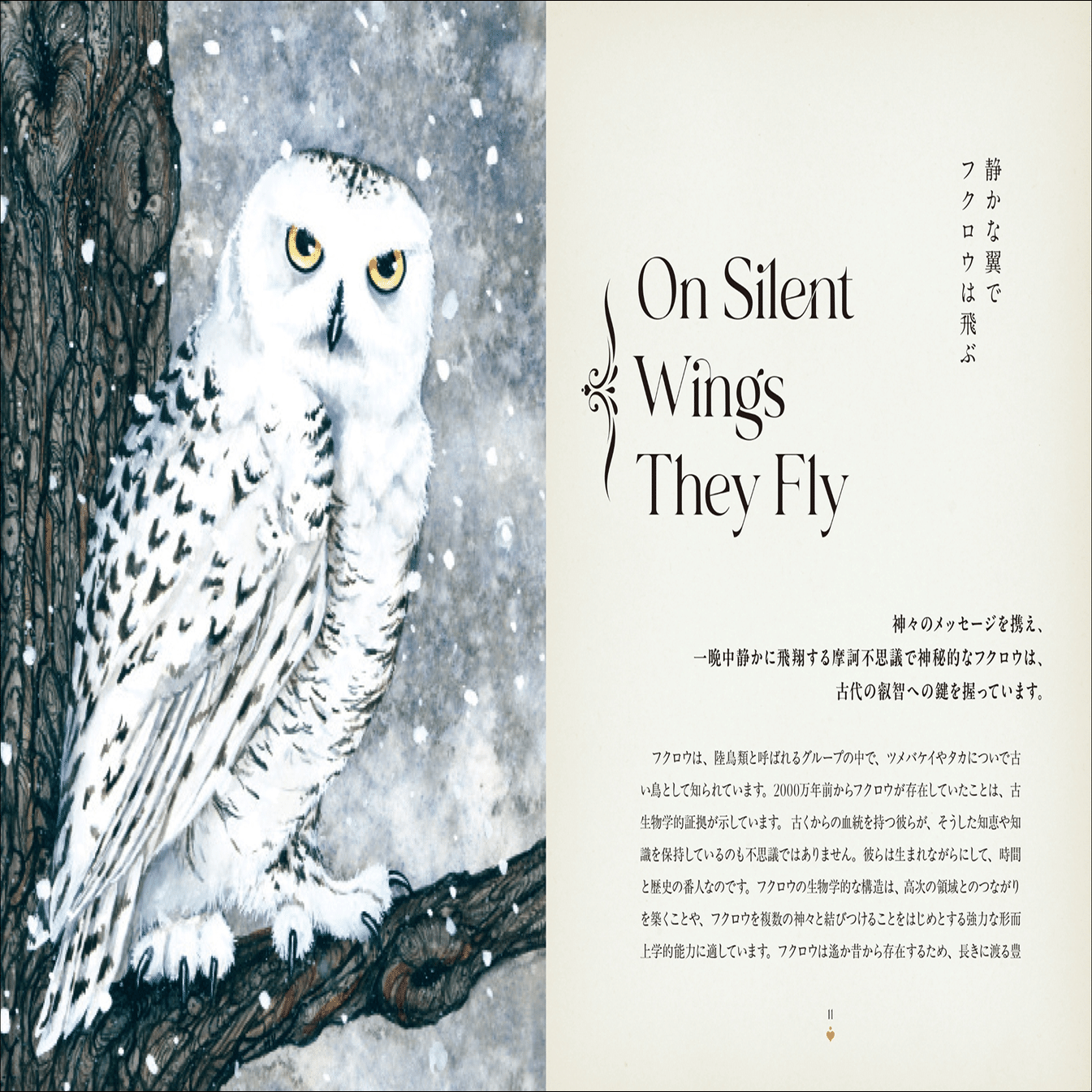 魔法世界と切り離せない使い魔「フクロウ」の生態と伝承、魔術の実践