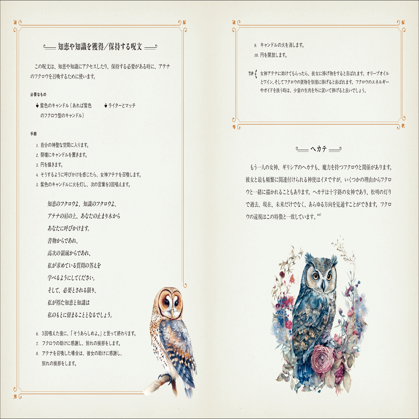 魔法世界と切り離せない使い魔「フクロウ」の生態と伝承、魔術の実践