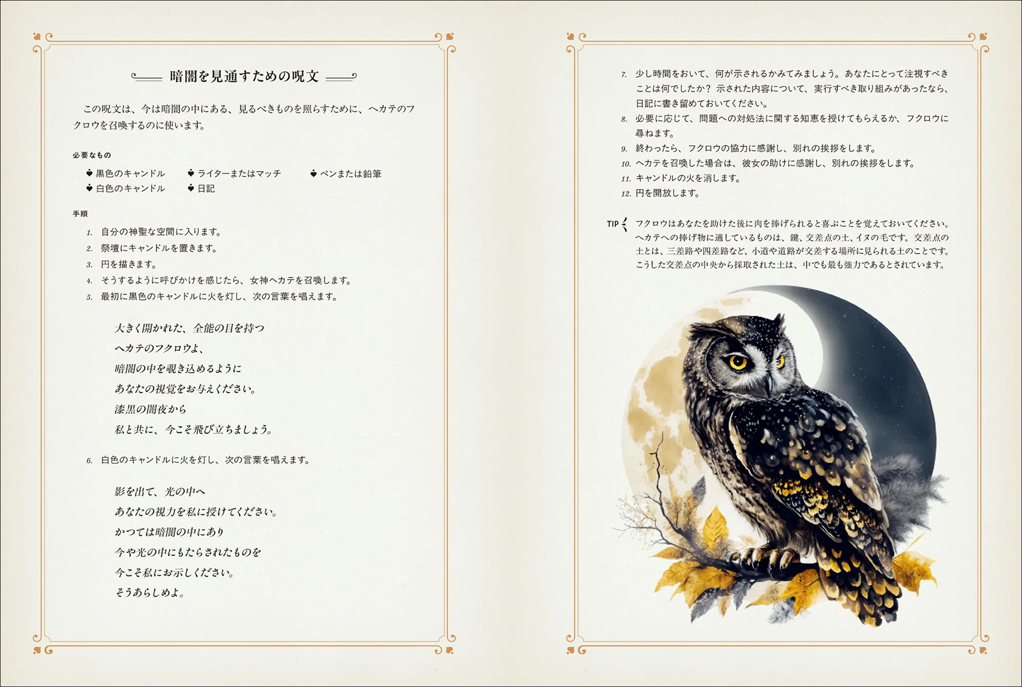 魔法世界と切り離せない使い魔「フクロウ」の生態と伝承、魔術の実践