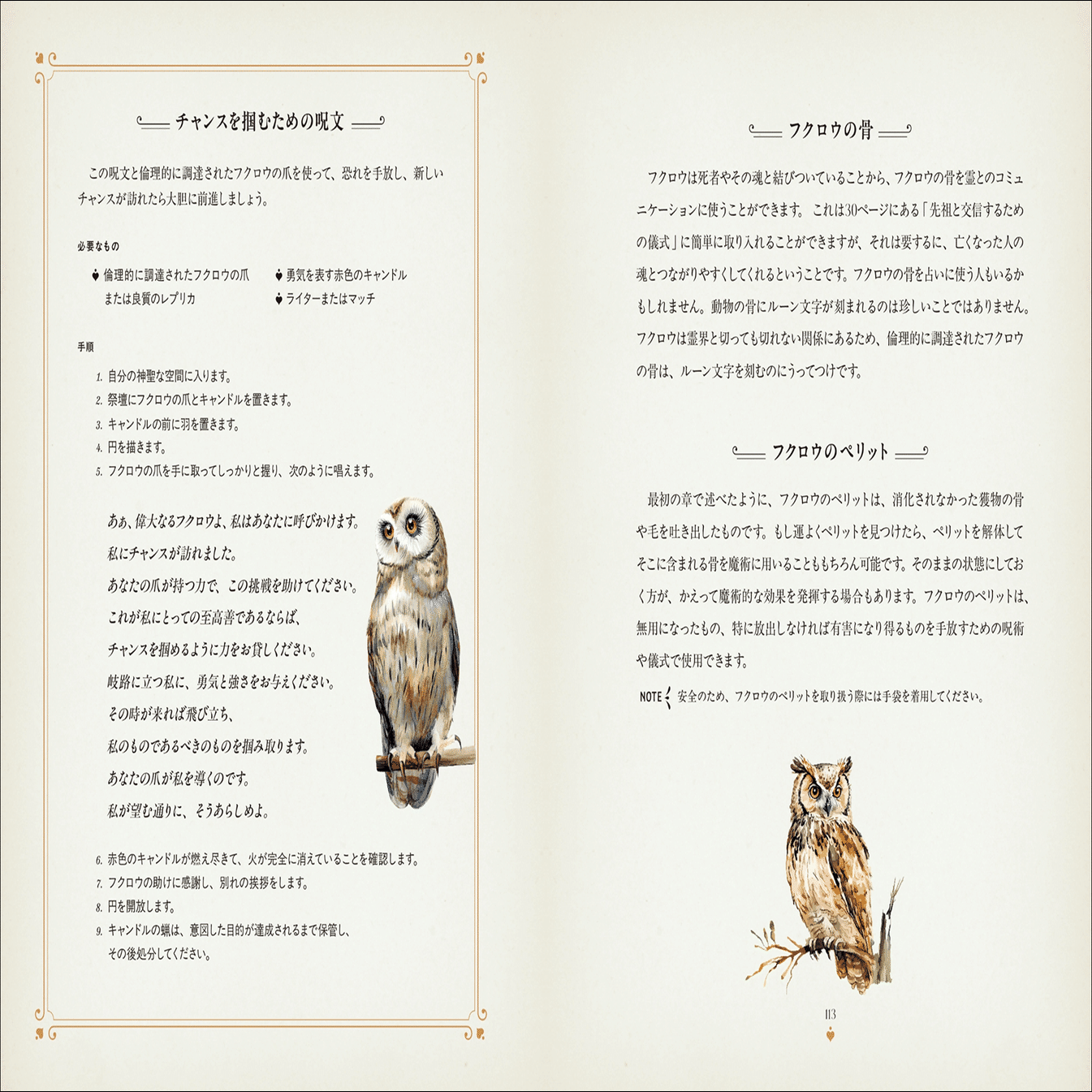 魔法世界と切り離せない使い魔「フクロウ」の生態と伝承、魔術の実践