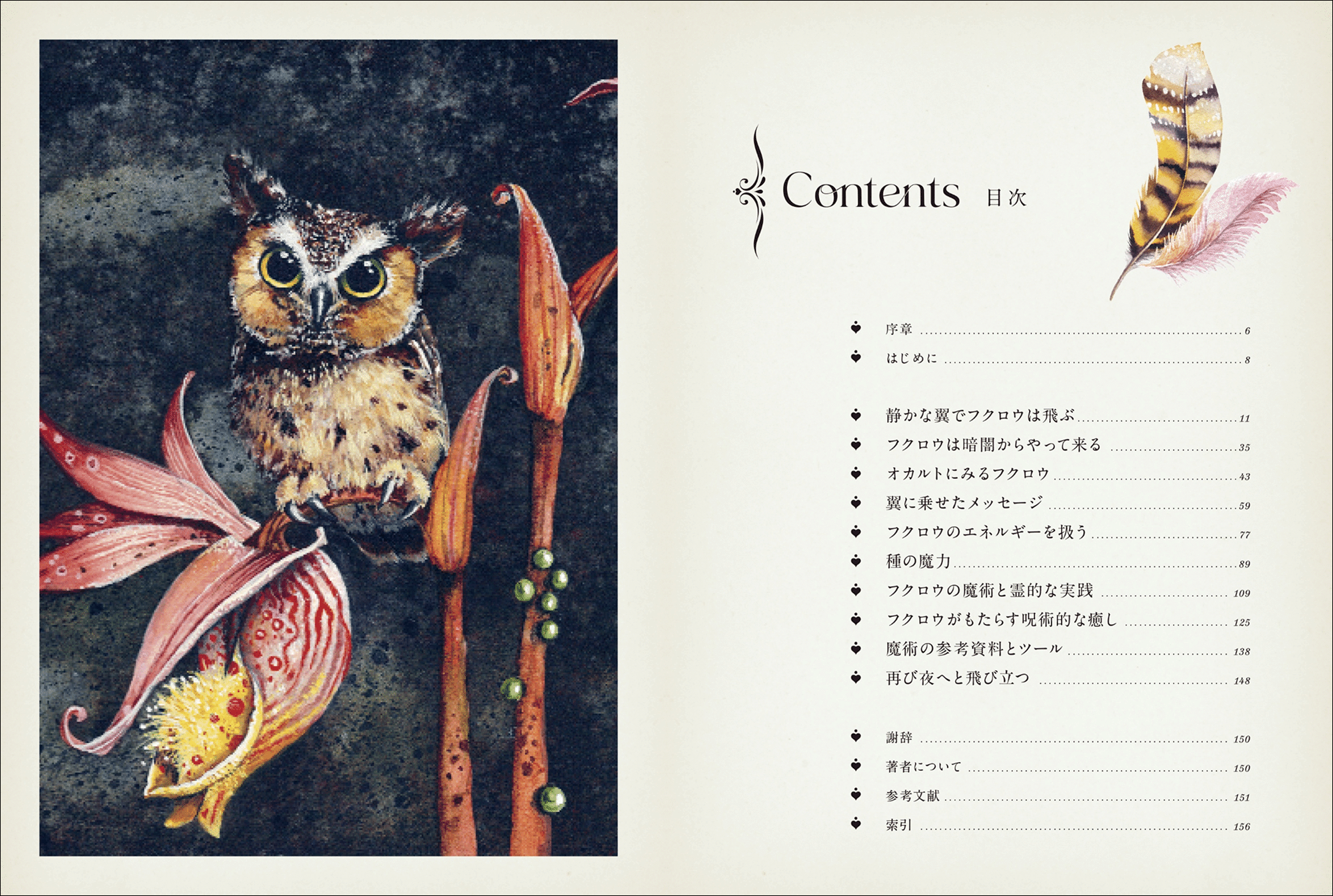 魔法世界と切り離せない使い魔「フクロウ」の生態と伝承、魔術の実践